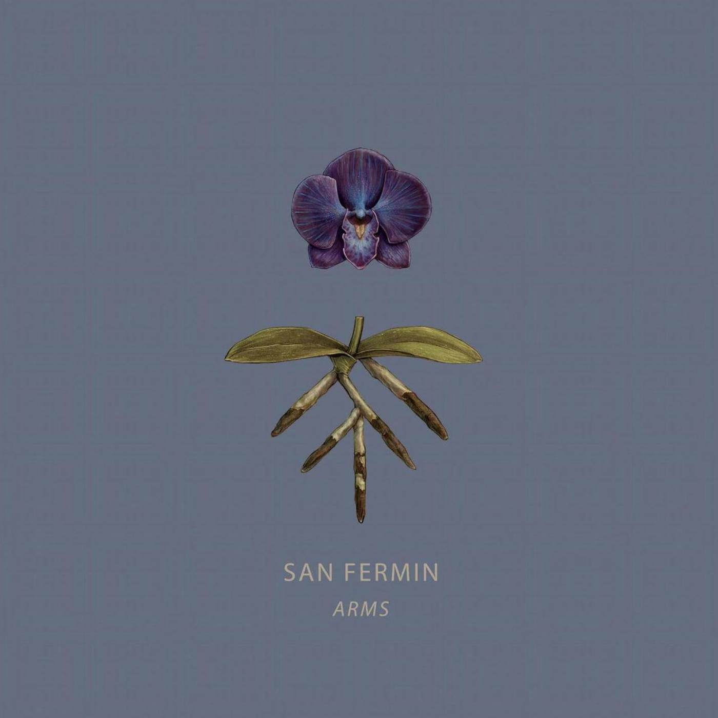 San Fermin ARMS Vinyl Record