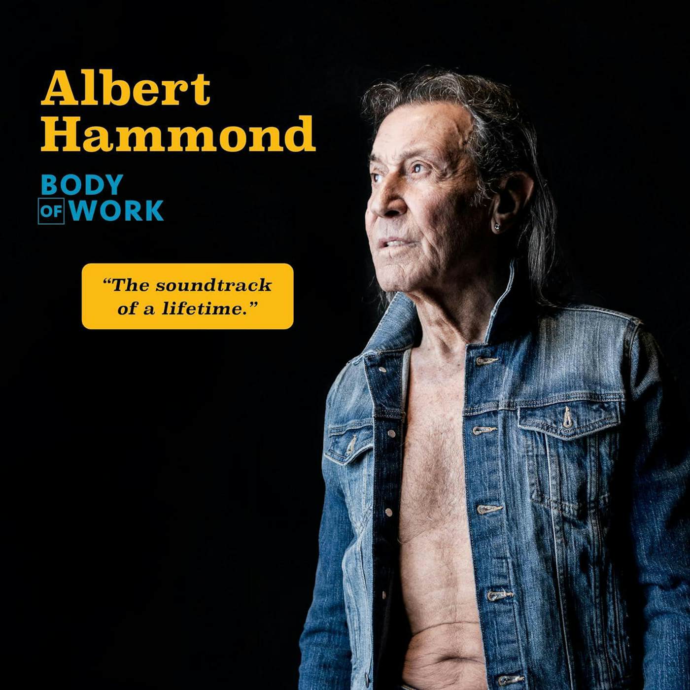 Albert Hammond Body Of Work (2LP) Vinyl Record