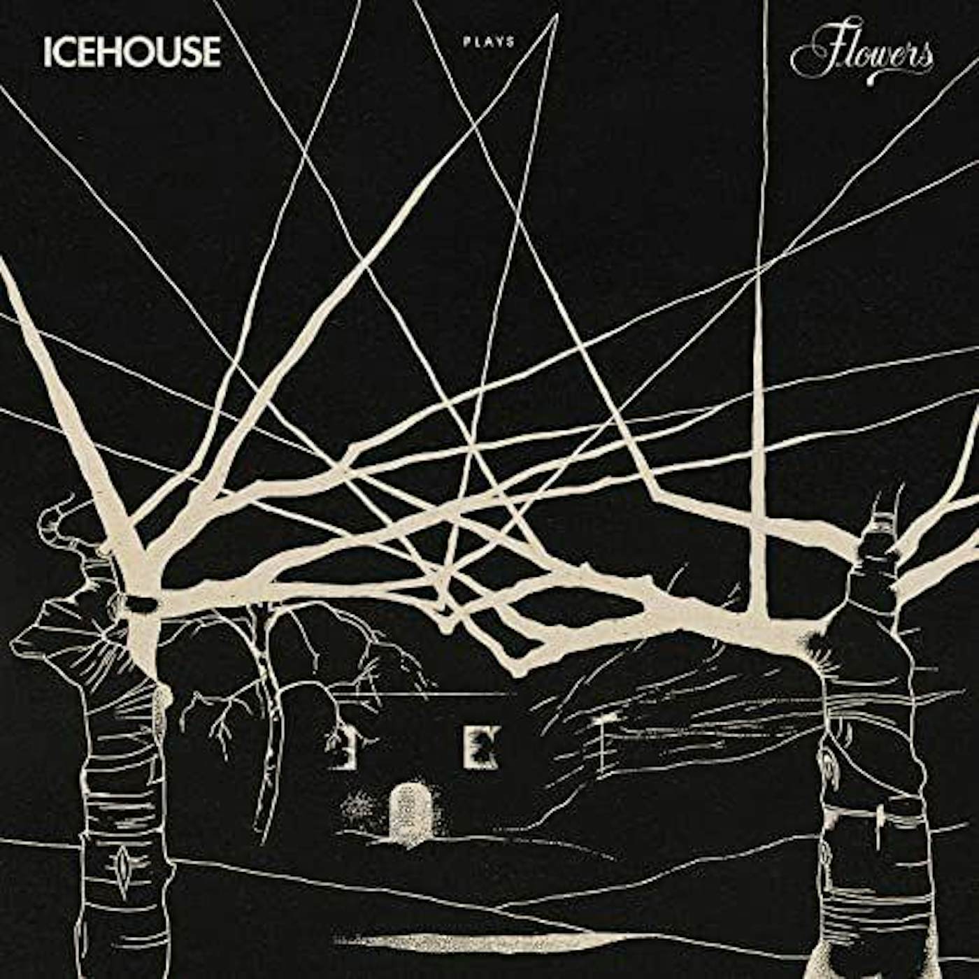 ICEHOUSE PLAYS FLOWERS: LIVE CD