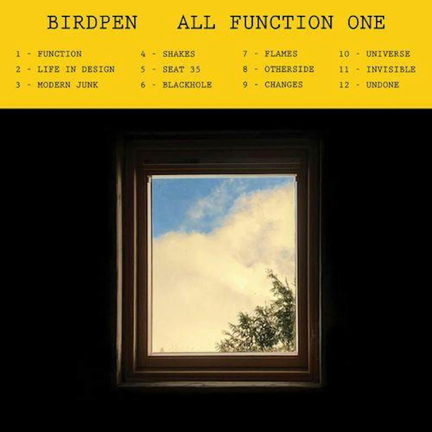 BirdPen All Function One Vinyl Record