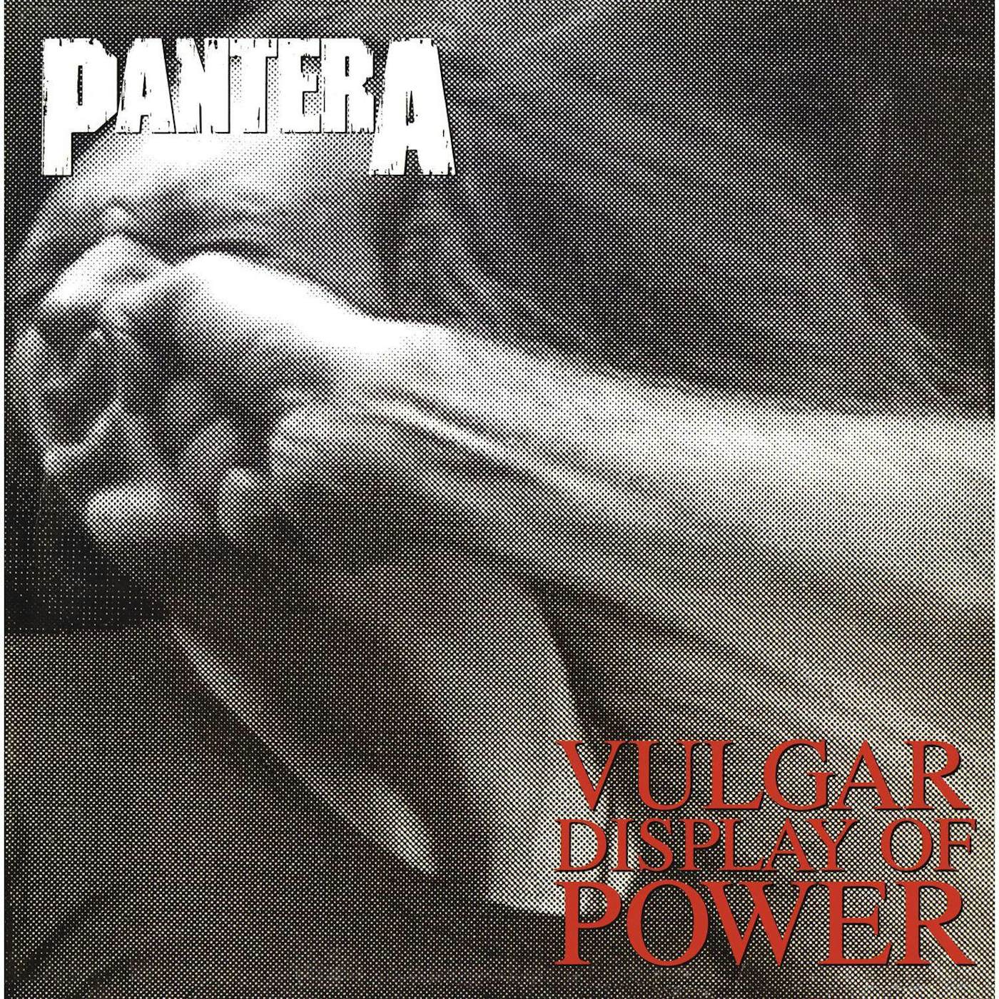 Pantera Vulgar Display Of Power Vinyl Record