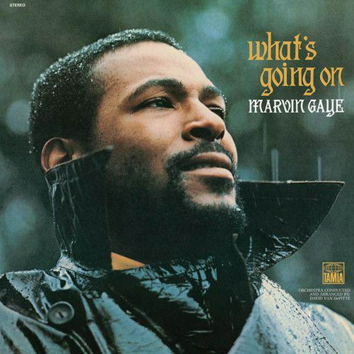 Marvin Gaye What's Going On (180g) Vinyl Record