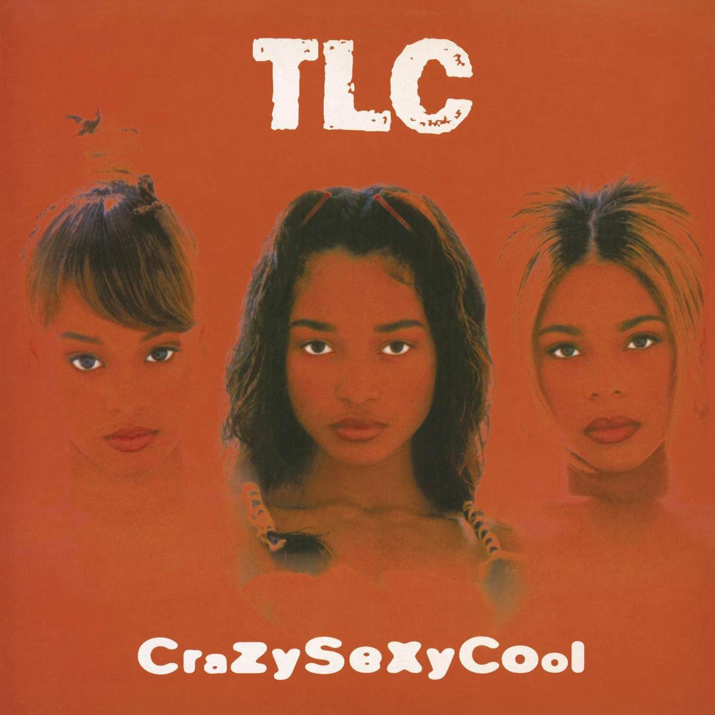 TLC CrazySexyCool (2LP) Vinyl Record
