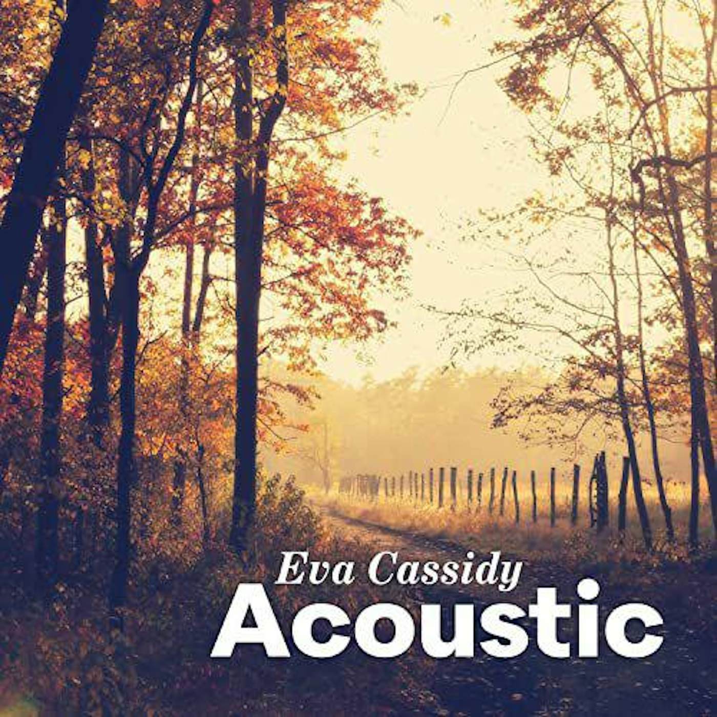 Eva Cassidy Acoustic Vinyl Record