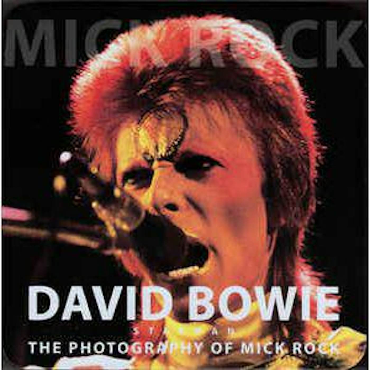 David Bowie MICK ROCK TIN Vinyl Record