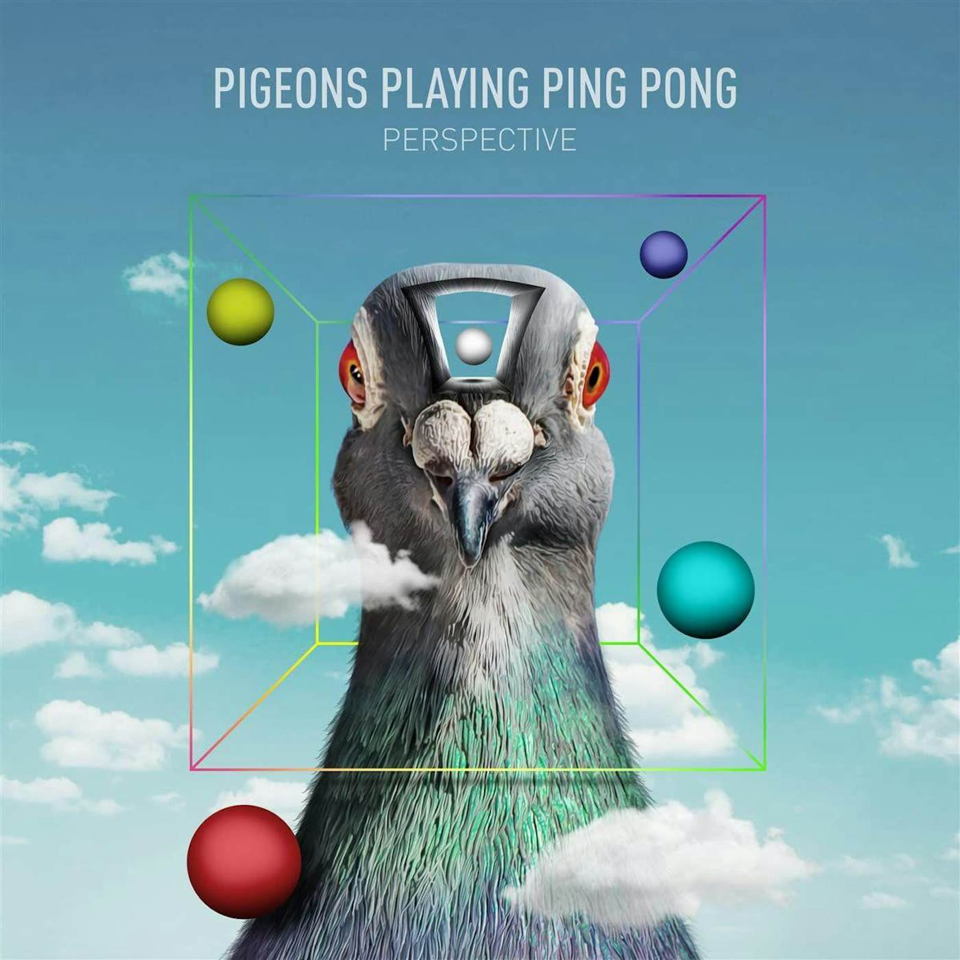 Pigeons Playing Ping Pong Perspective CD