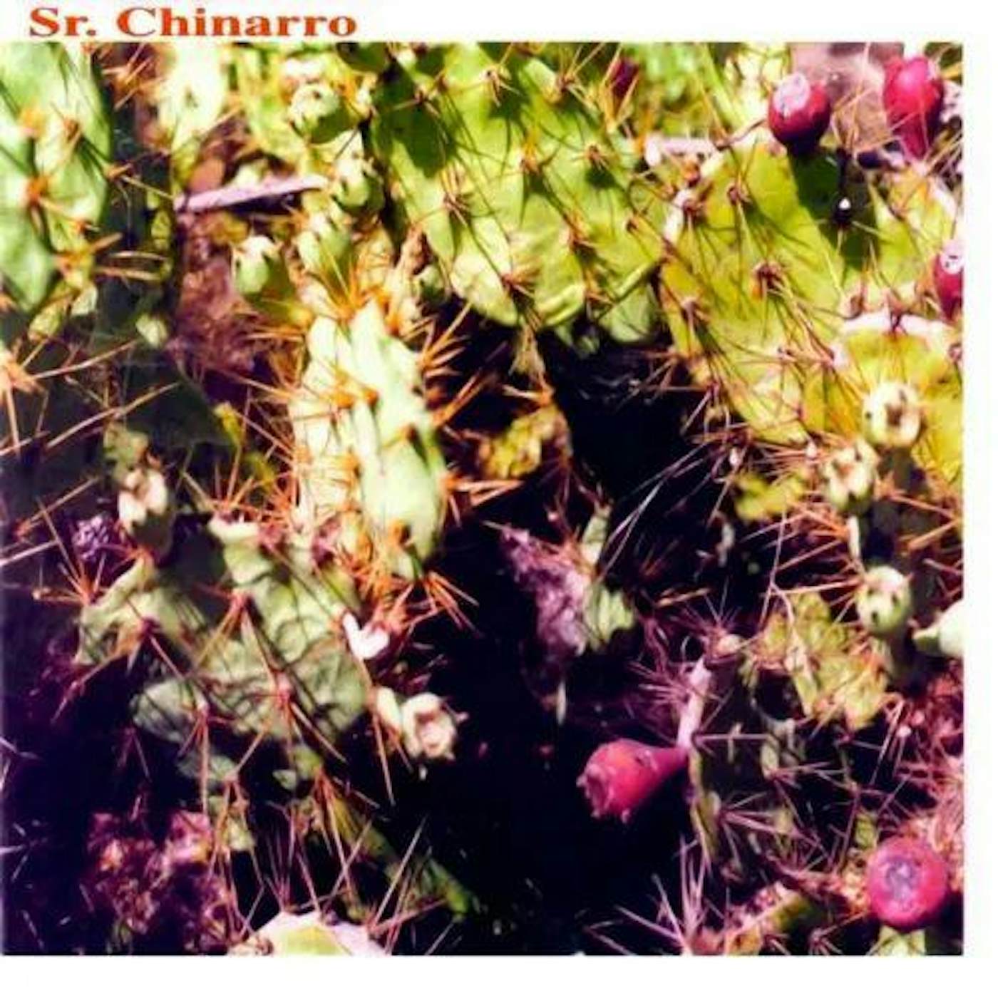 Sr. Chinarro (DEBUT) Vinyl Record