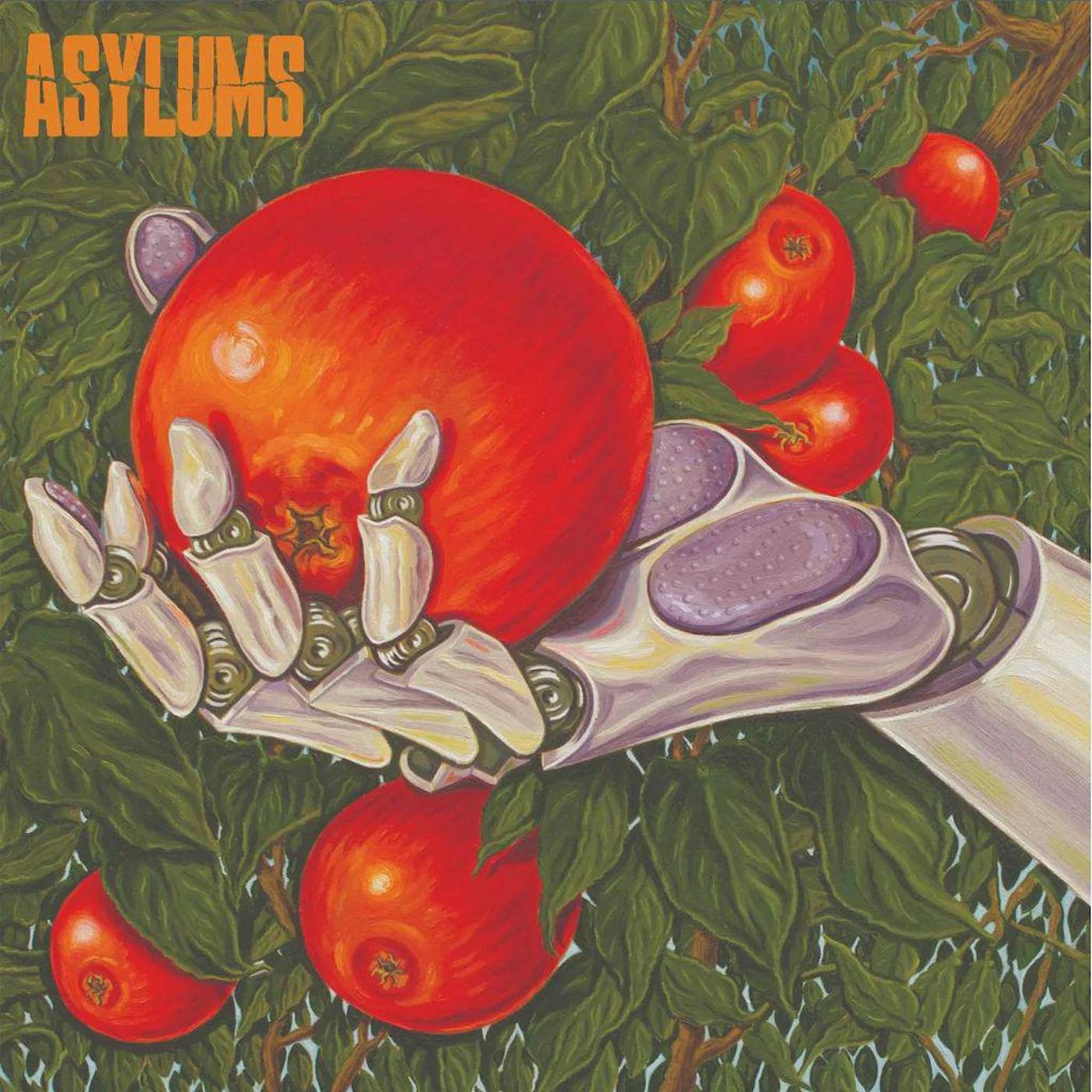 Asylums Signs Of Life Colored Vinyl