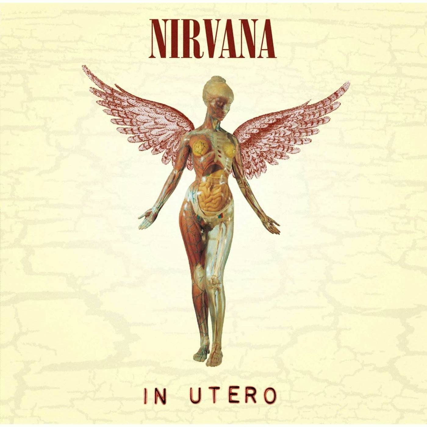 Nirvana IN UTERO Vinyl Record