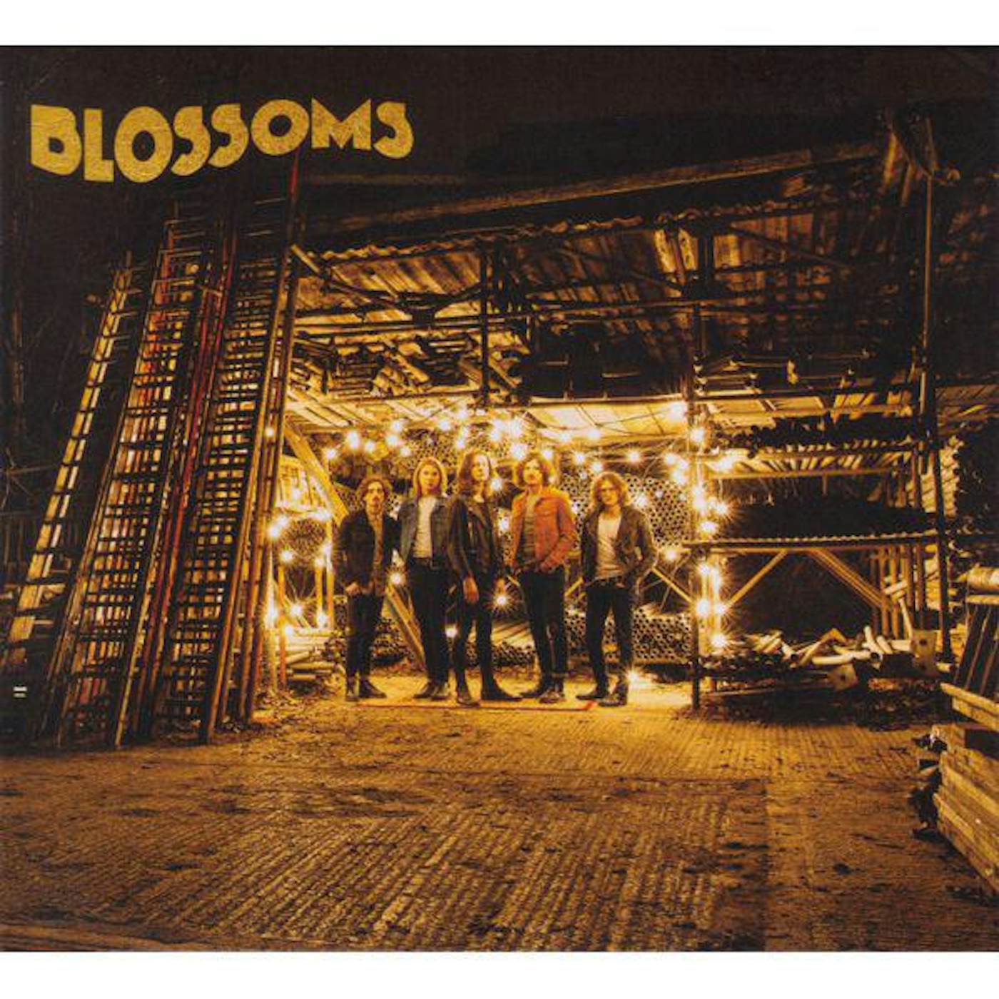 Blossoms Vinyl Record