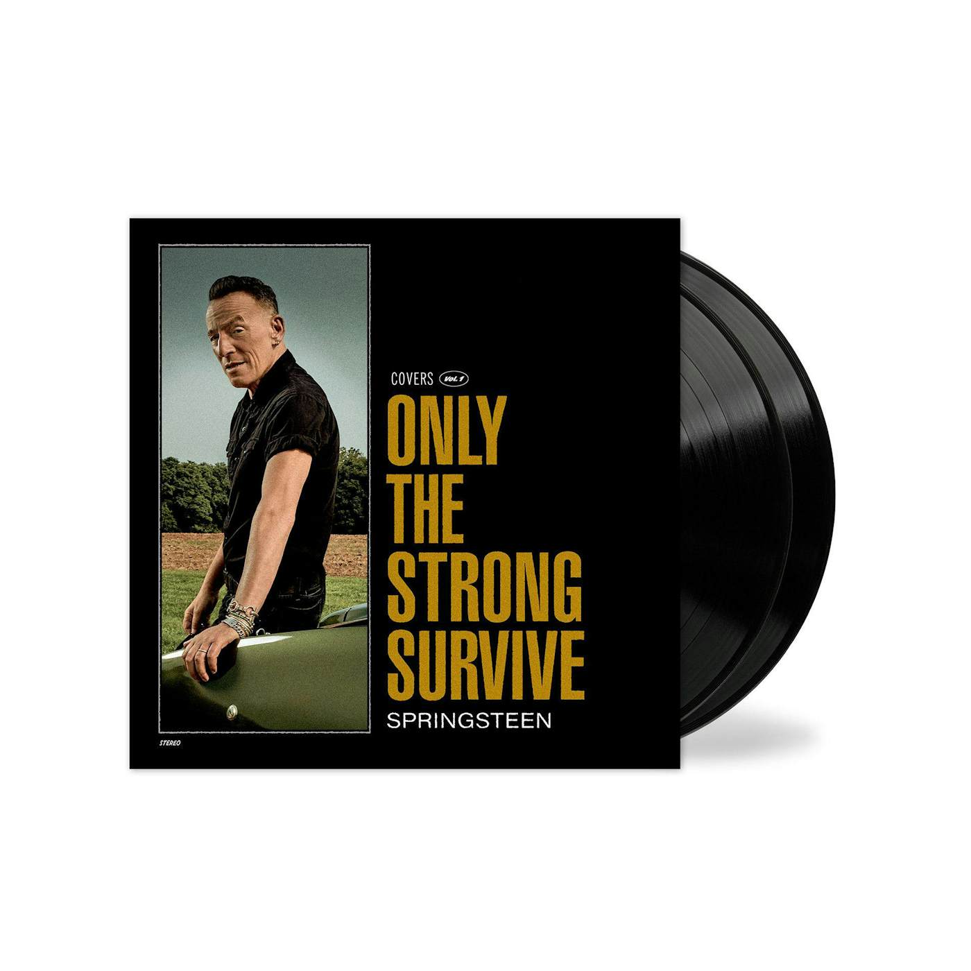 Bruce Springsteen Only The Strong Survive (2LP) Vinyl Record
