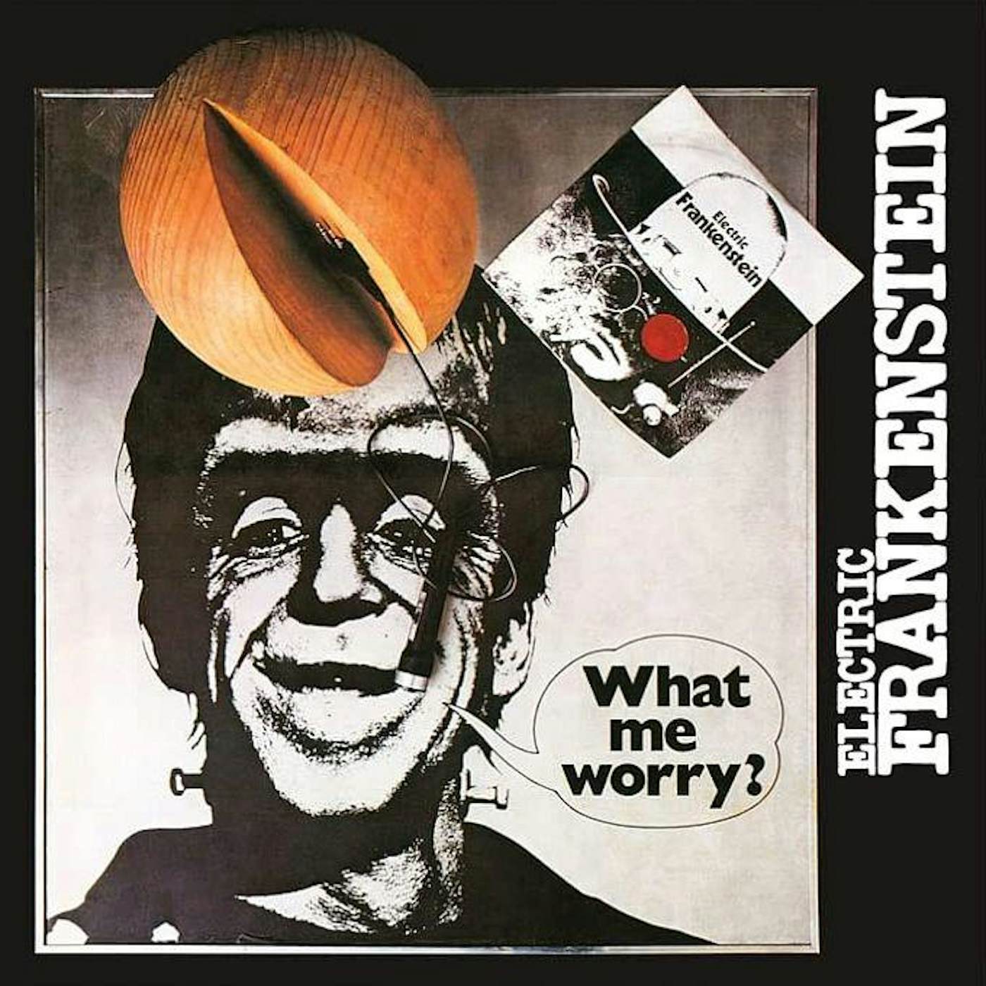 Electric Frankenstein What Me Worry Vinyl Record