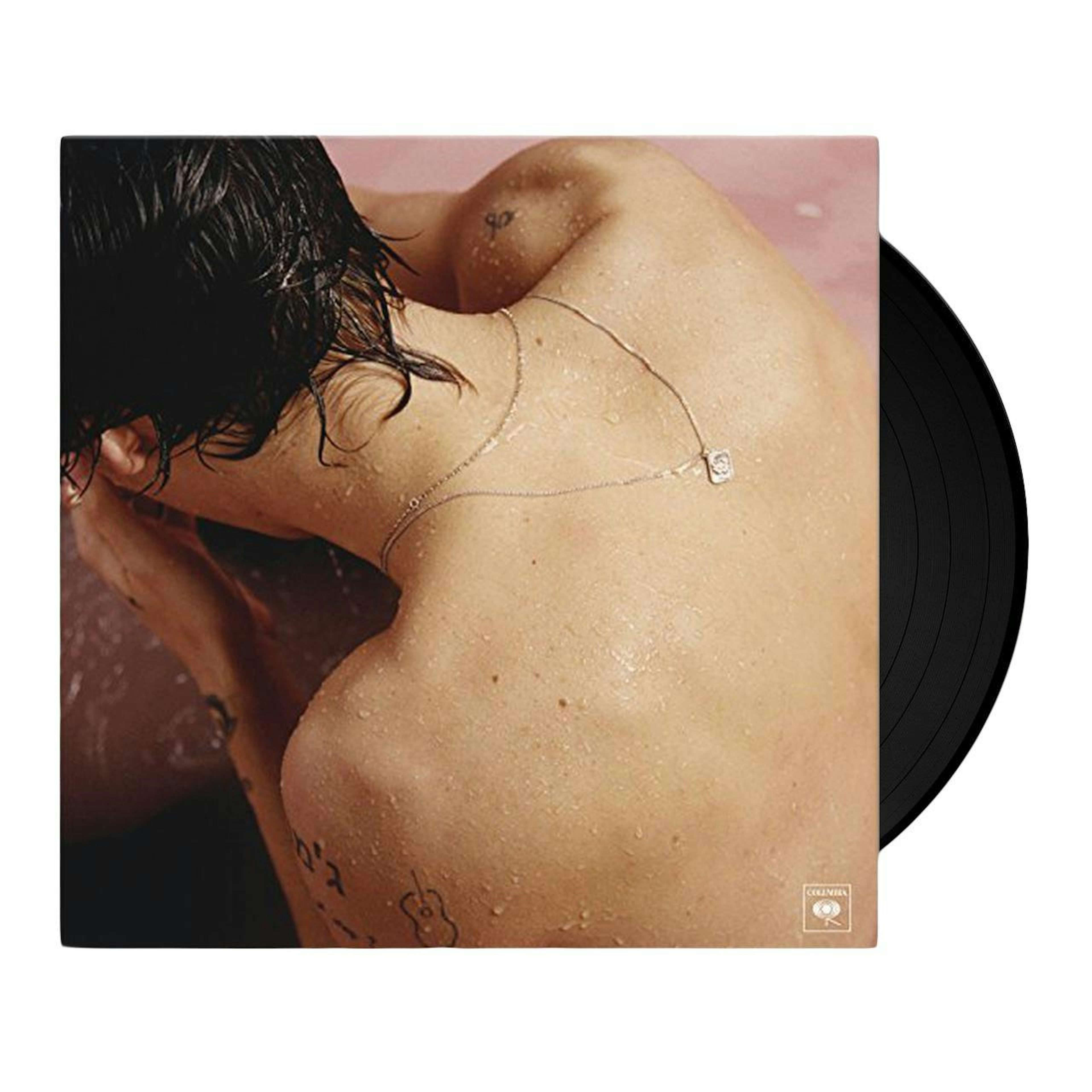 Harry Styles Record