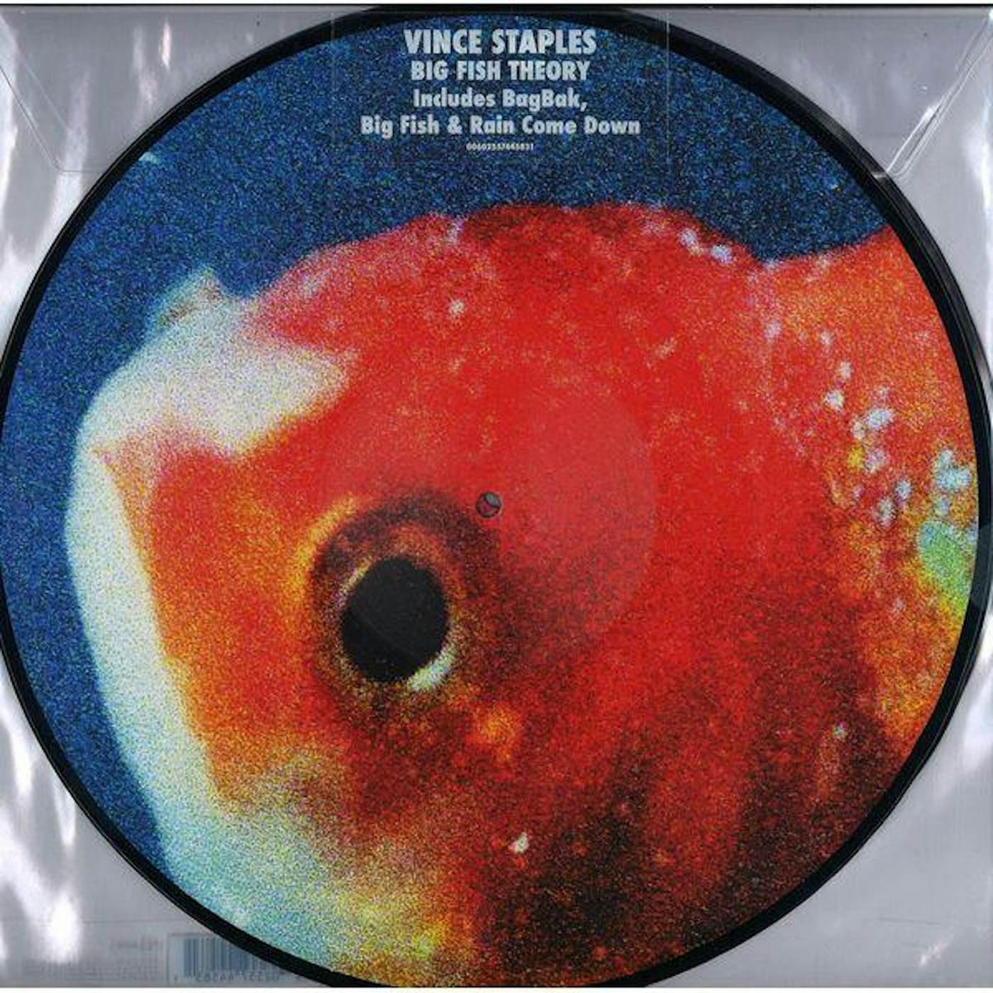 Vince Staples Big Fish Theory Vinyl Record