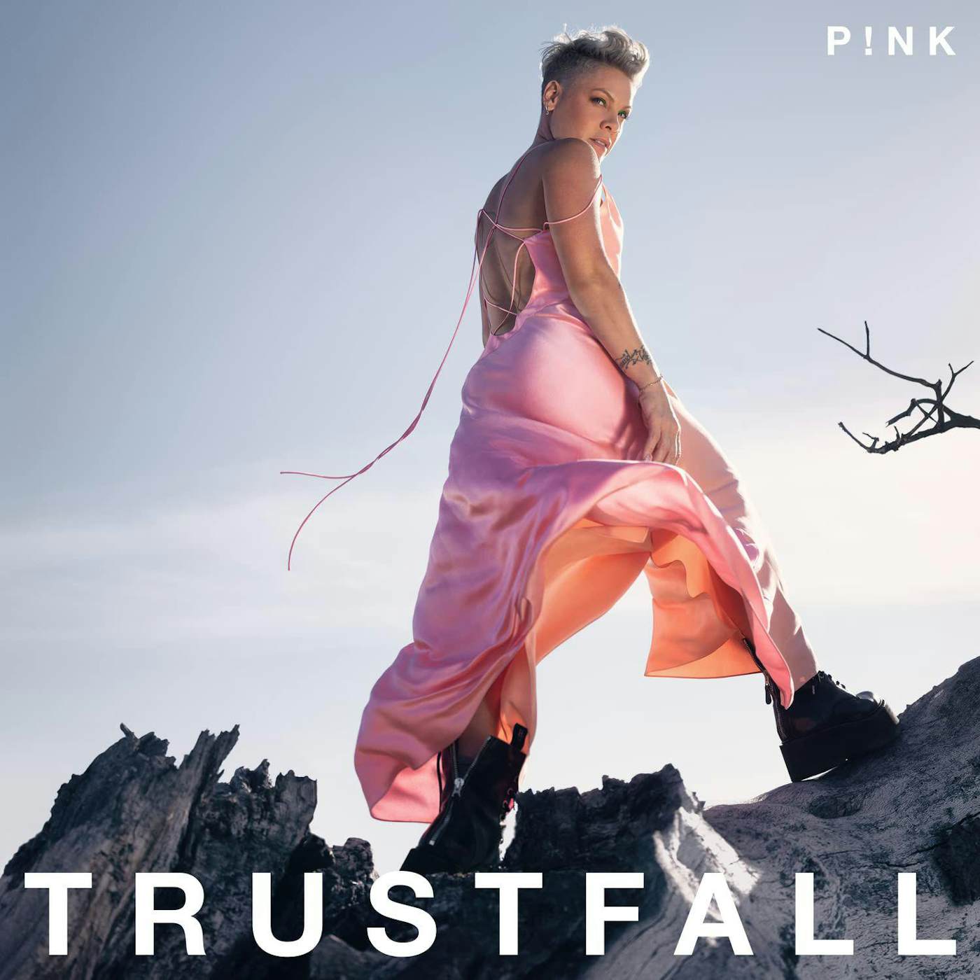 P!nk Trustfall Vinyl Record