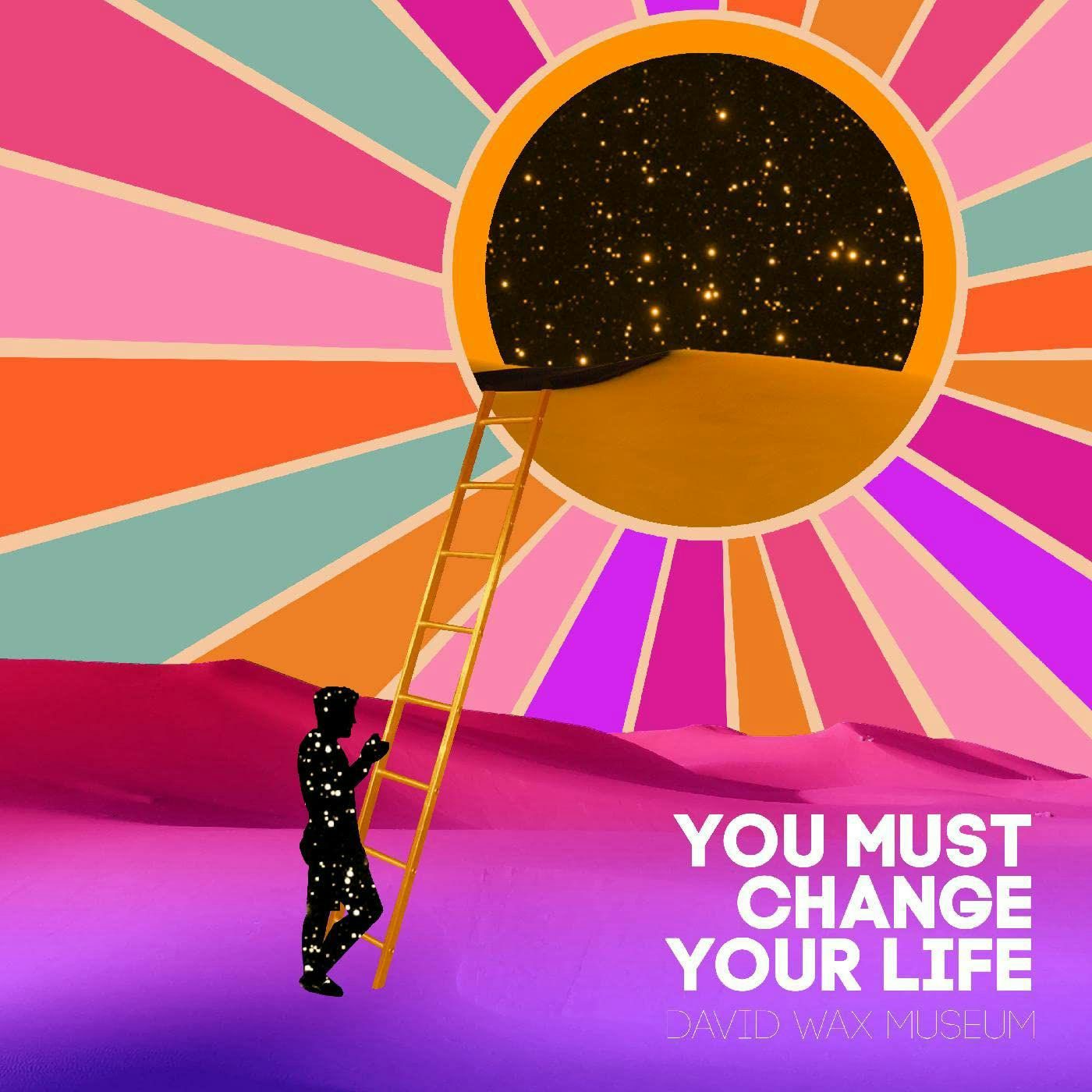 David Wax Museum You Must Change Your Life Vinyl Record