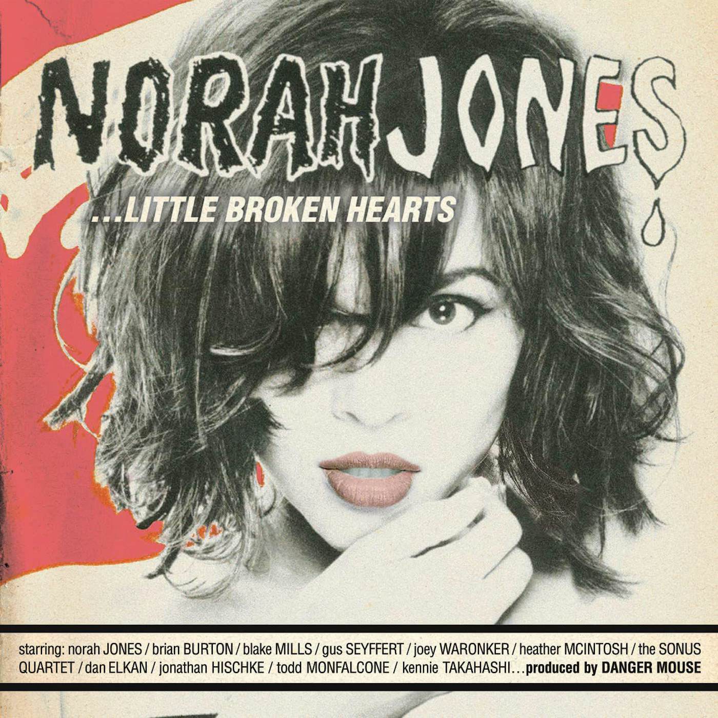Norah Jones Little Broken Hearts Vinyl Record