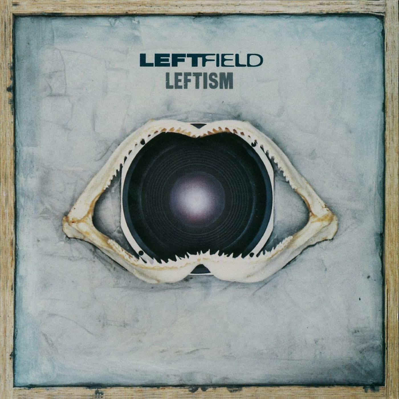 Leftfield Leftism Vinyl Record