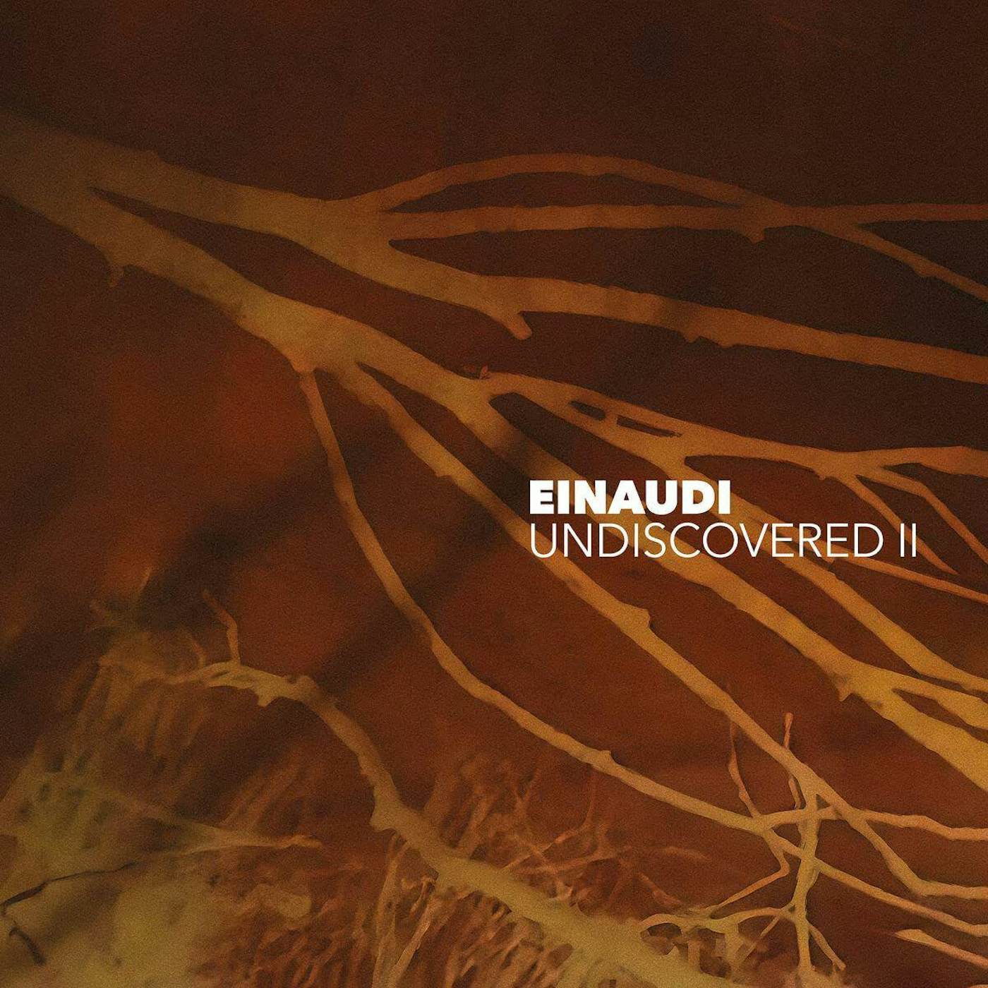 Ludovico Einaudi has released a new piano album, '12 Songs From