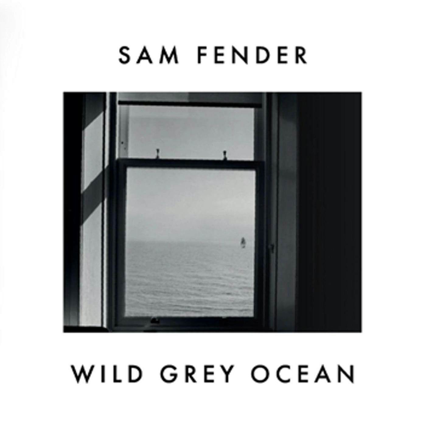Sam Fender WILD GREY OCEAN / LITTLE BULL OF BLITHE Vinyl Record