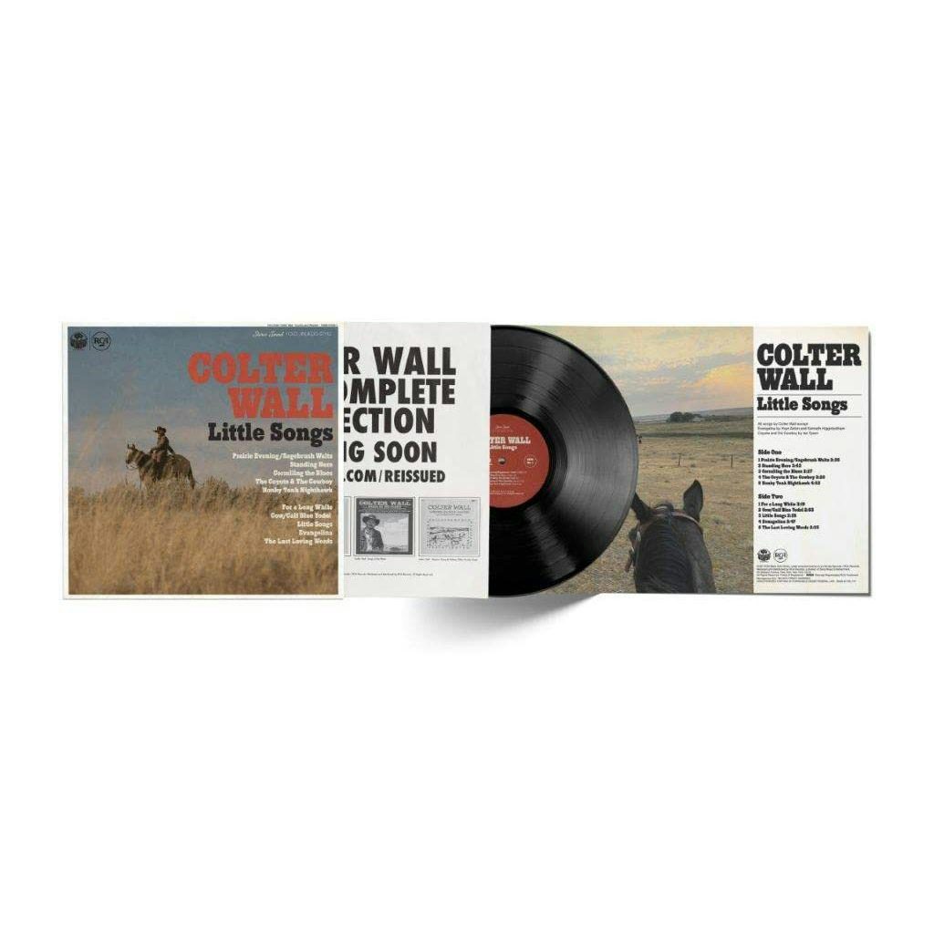 Little Songs Vinyl Record - Colter Wall