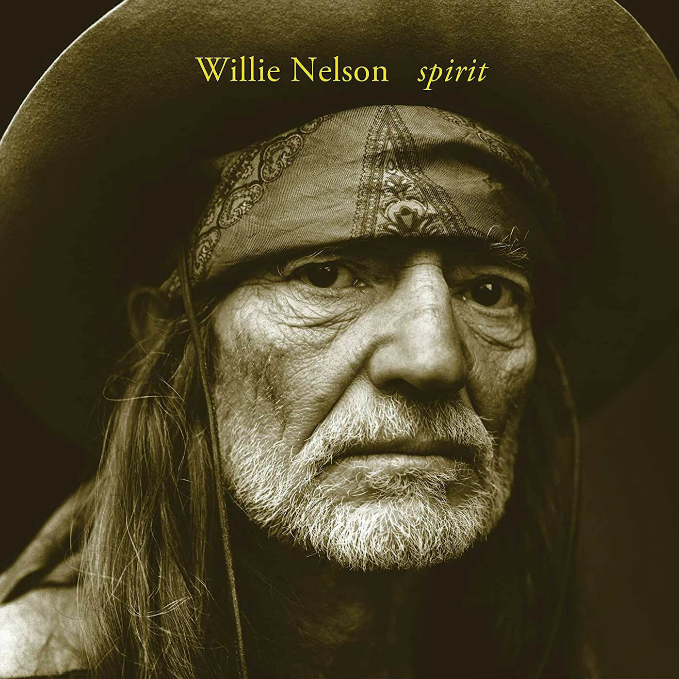 Willie Nelson Spirit Vinyl Record