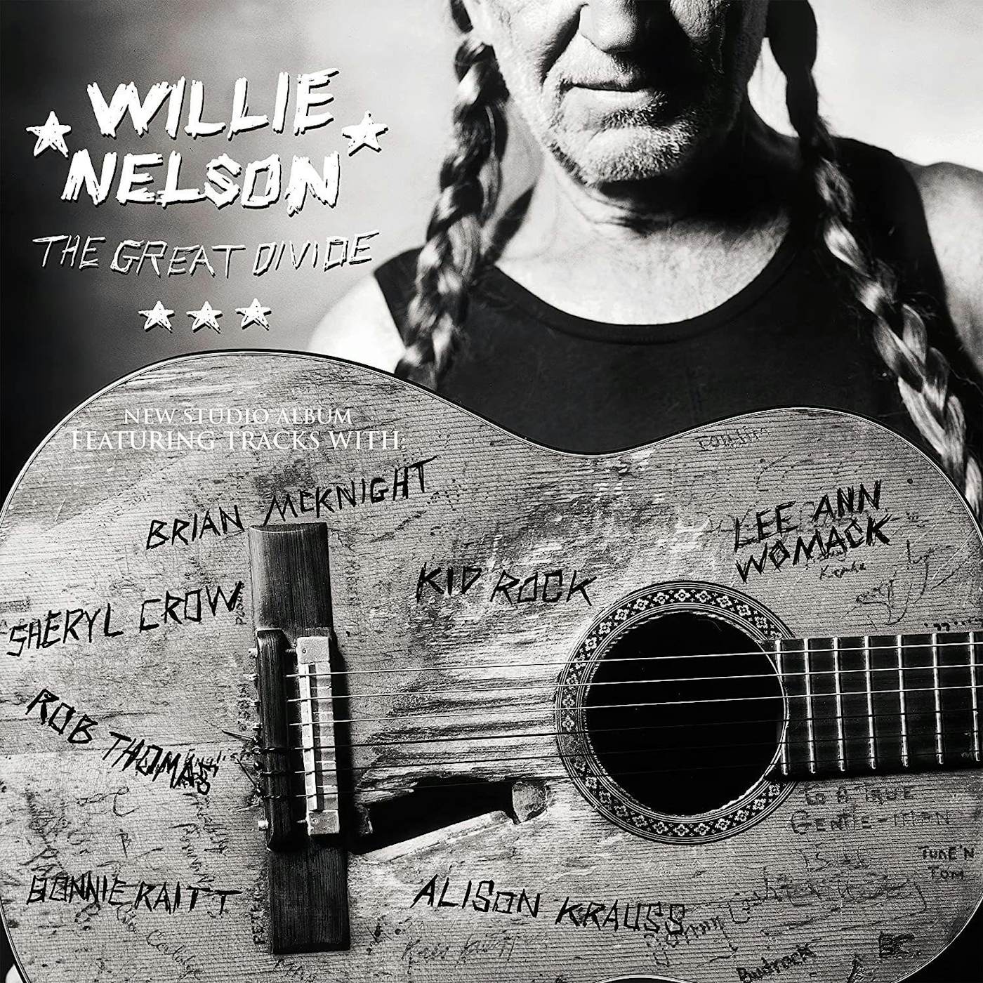 Willie Nelson Great Divide Vinyl Record