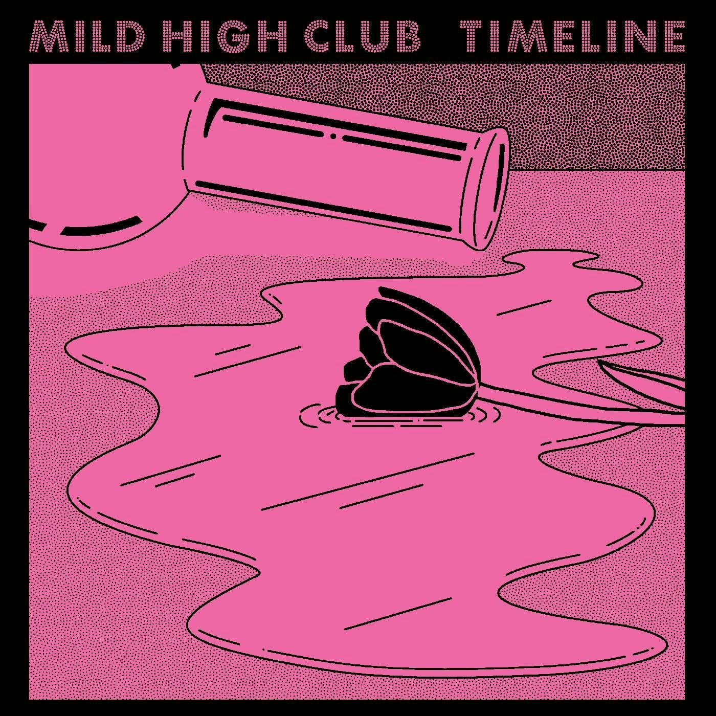 Mild High Club Skiptracing Vinyl Record