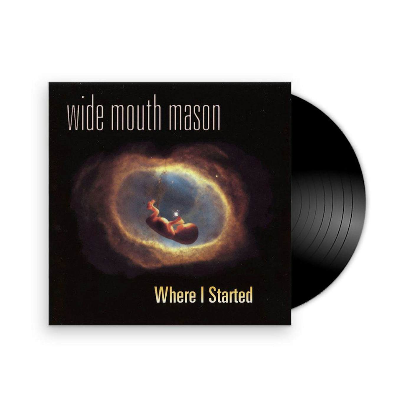 Wide Mouth Mason Where I Started Vinyl Record