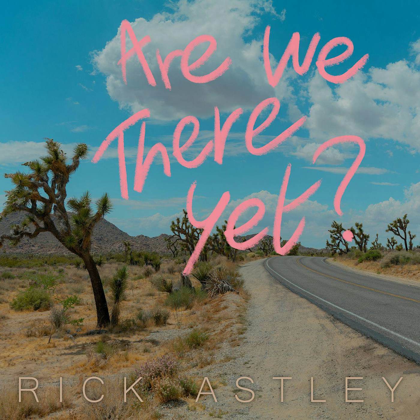 Rick Astley Are We There Yet Vinyl Record
