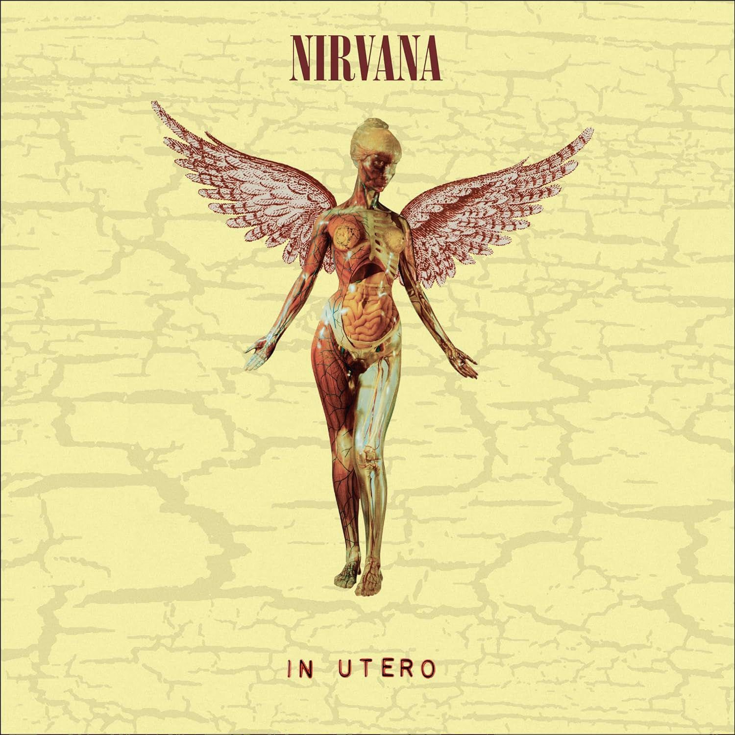 In Utero 30th Anniversary 8LP Vinyl Record Nirvana