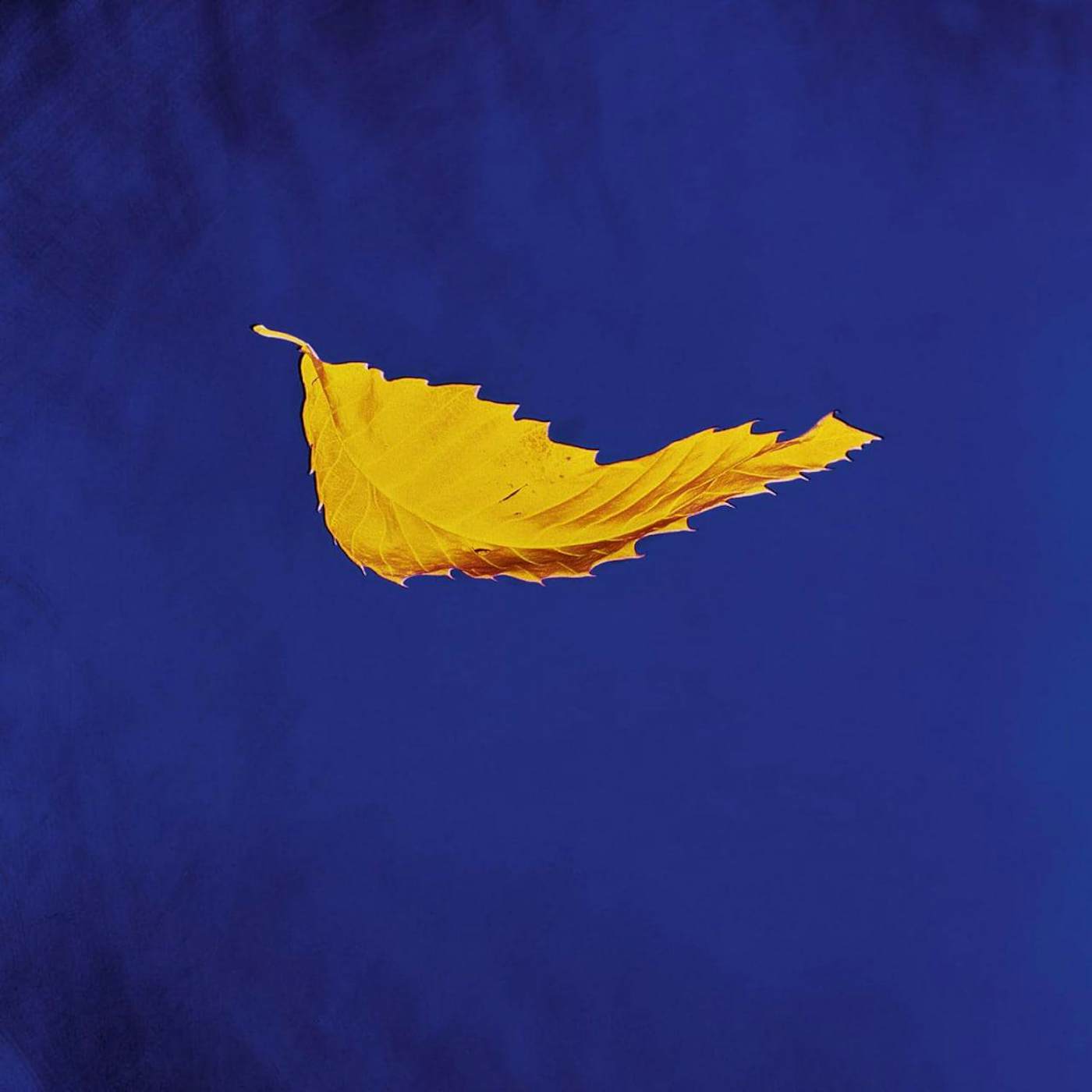 New Order TRUE FAITH Vinyl Record