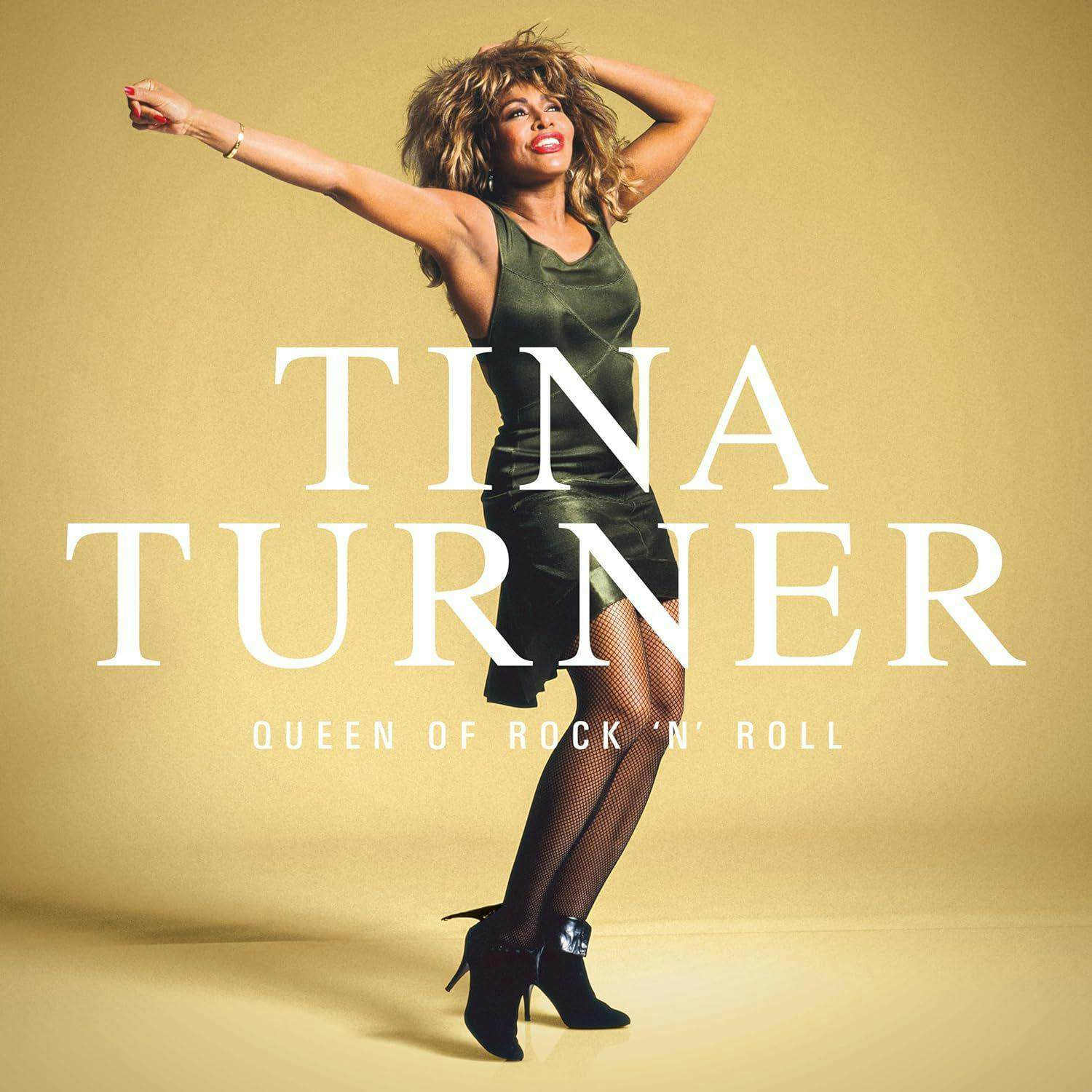 Tina turner what love got to