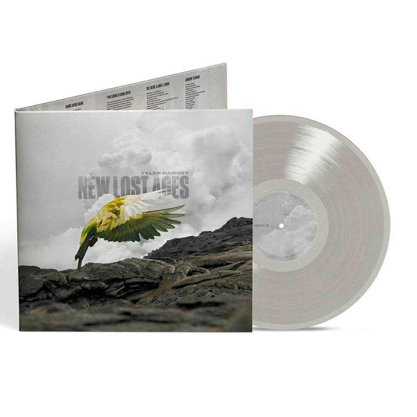Tyler Ramsey New Lost Ages (Colored/Gray) Vinyl Record