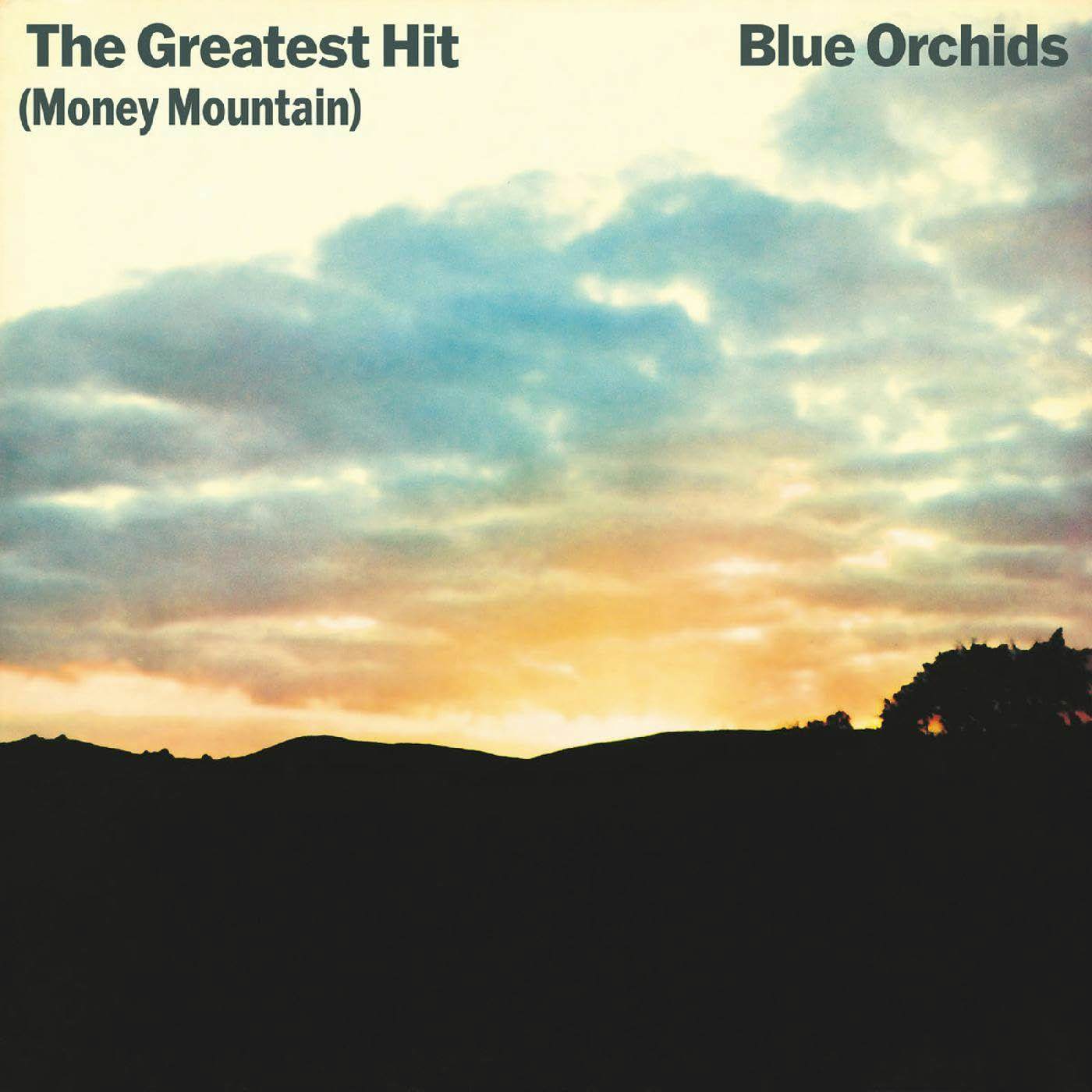 Blue Orchids Greatest Hit (Money Mountain) (2LP) Vinyl Record