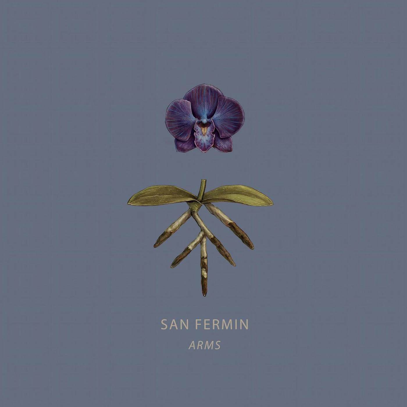 San Fermin Arms Vinyl Record