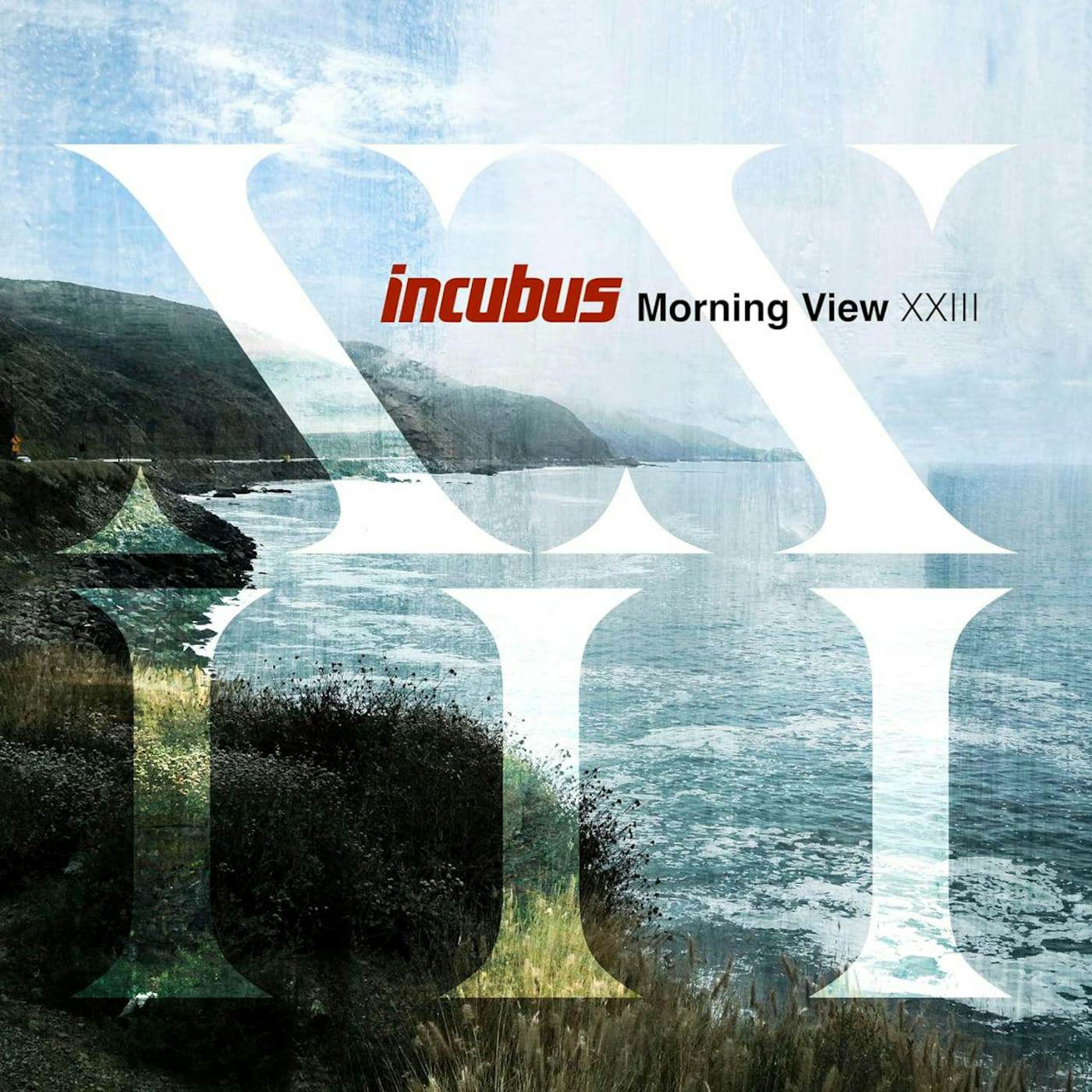 Incubus Morning View XXIII (2LP) Vinyl Record