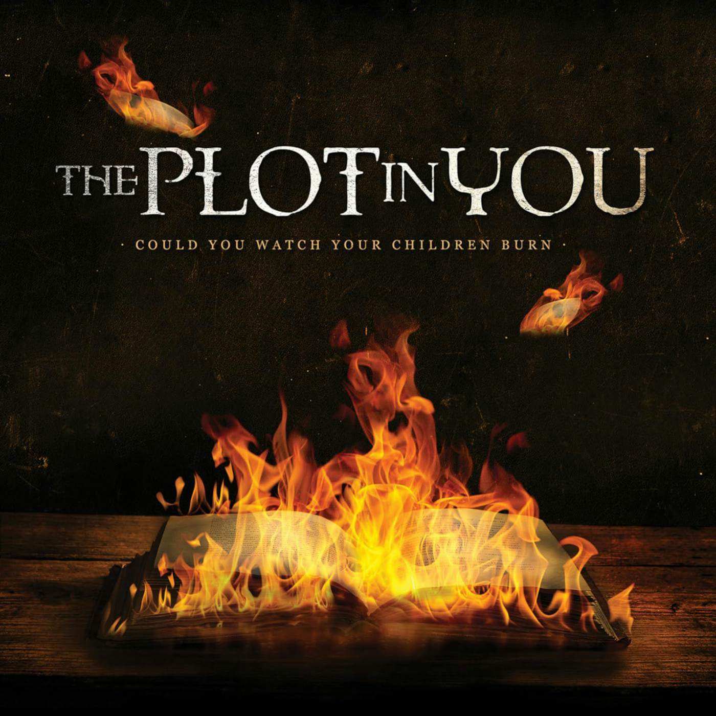 The Plot In You Could You Watch Your Children Burn Vinyl Record