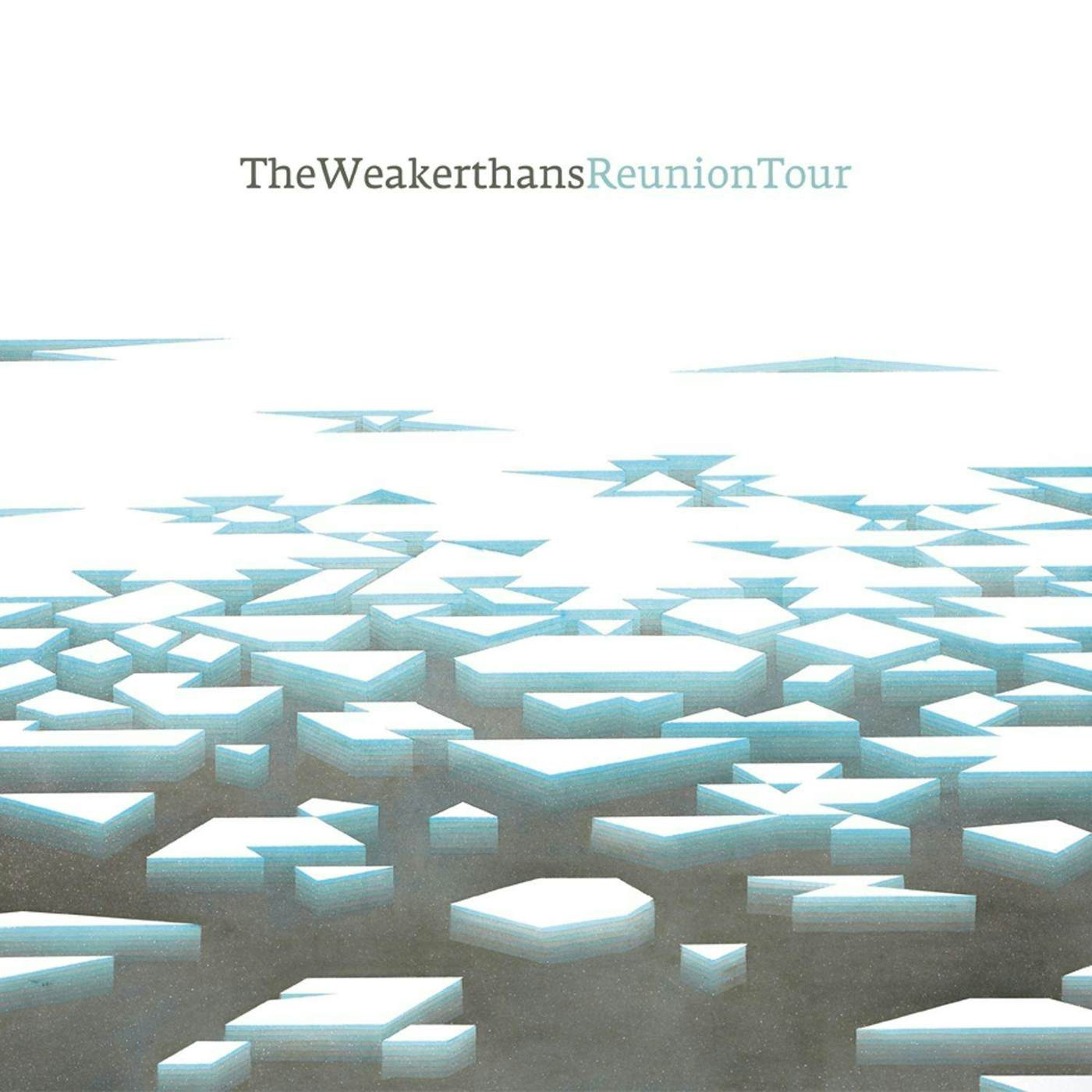 The Weakerthans Reunion Tour Vinyl Record