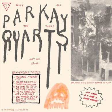Parquet Courts Tally all the things that you broke Vinyl Record