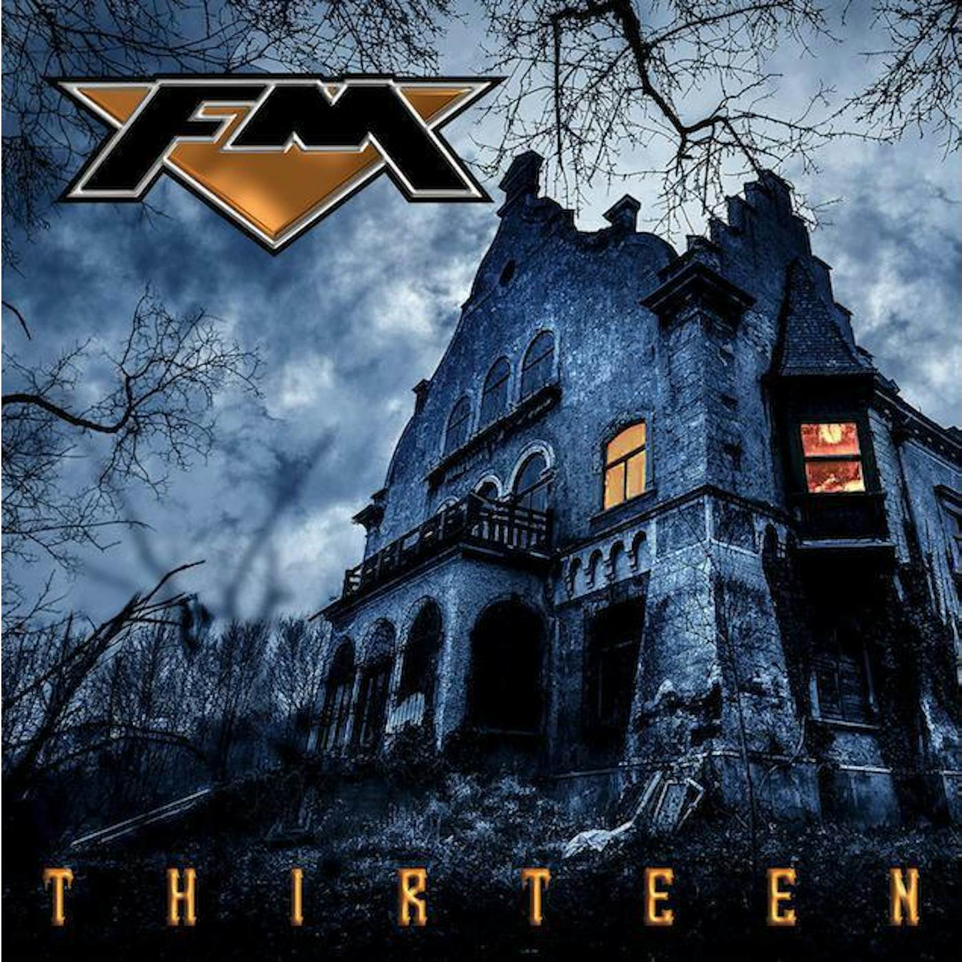 FM Thirteen Vinyl Record