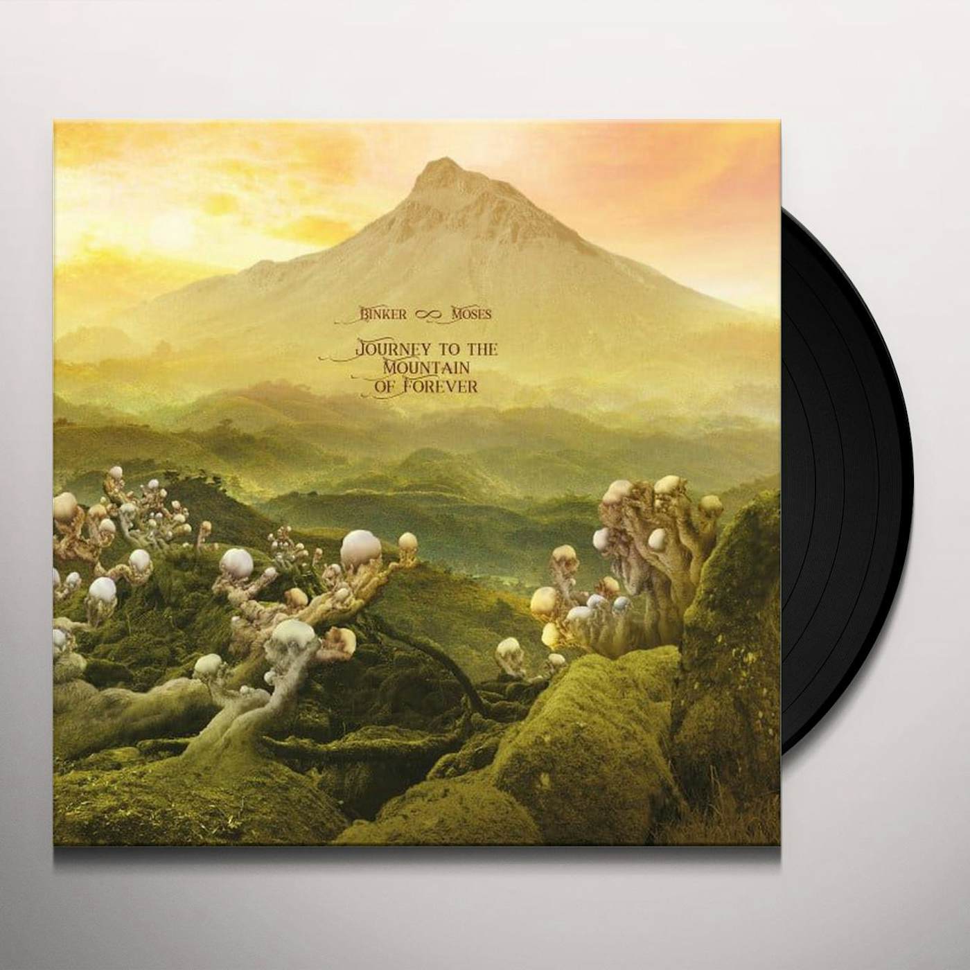 Binker and Moses Journey To The Mountain Of Forever Vinyl Record