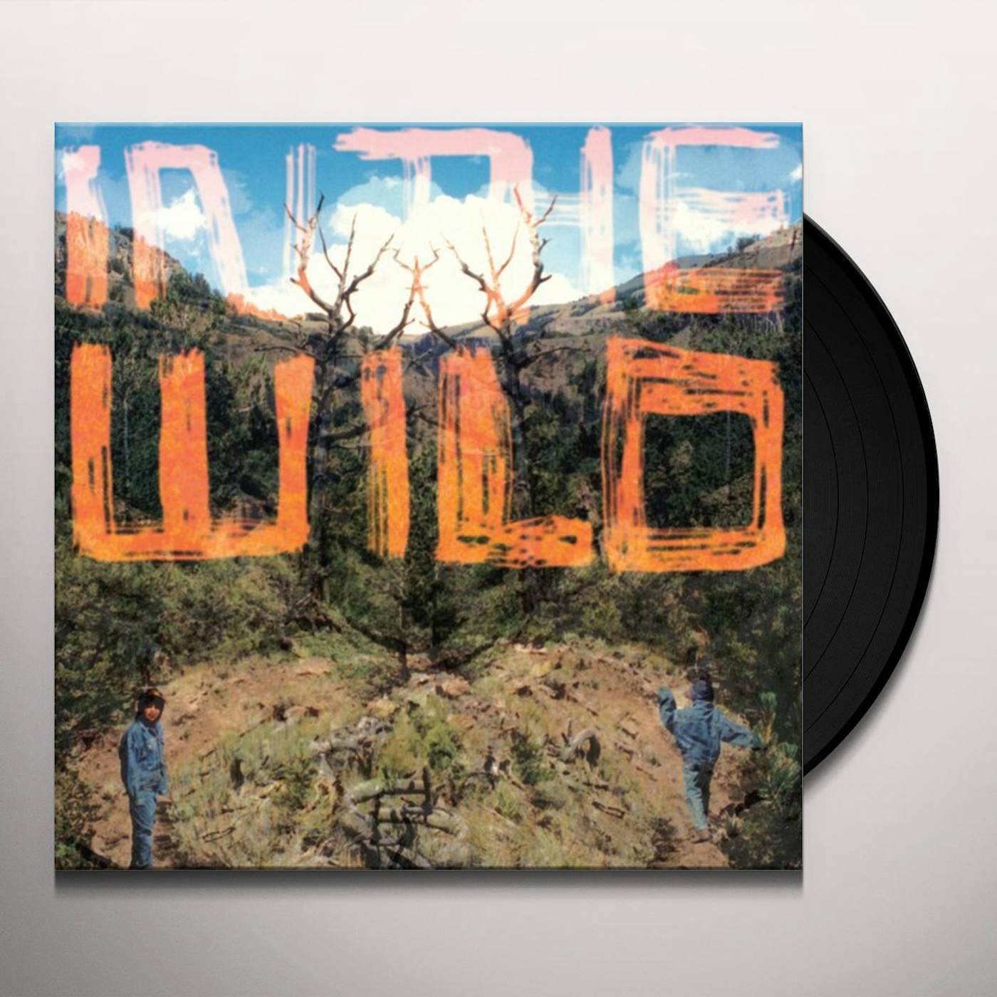 FaltyDL In The Wild Vinyl Record