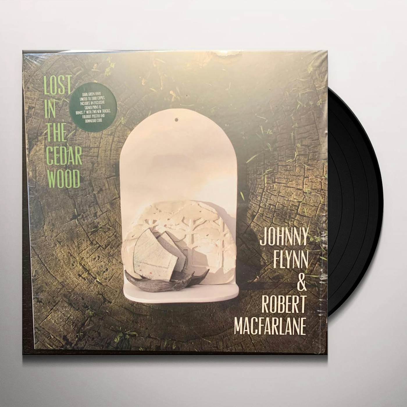 Johnny Flynn Lost In The Cedar Wood (Black) Vinyl Record
