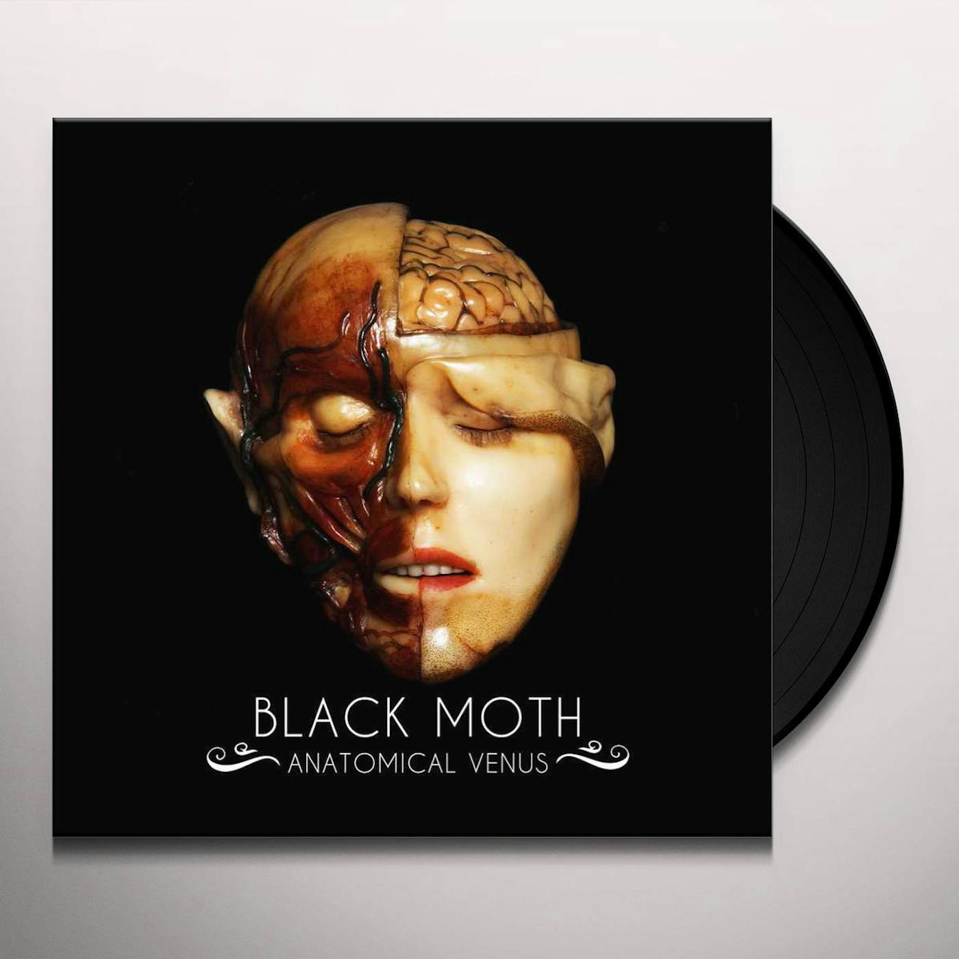 Black Moth Anatomical Venus Vinyl Record