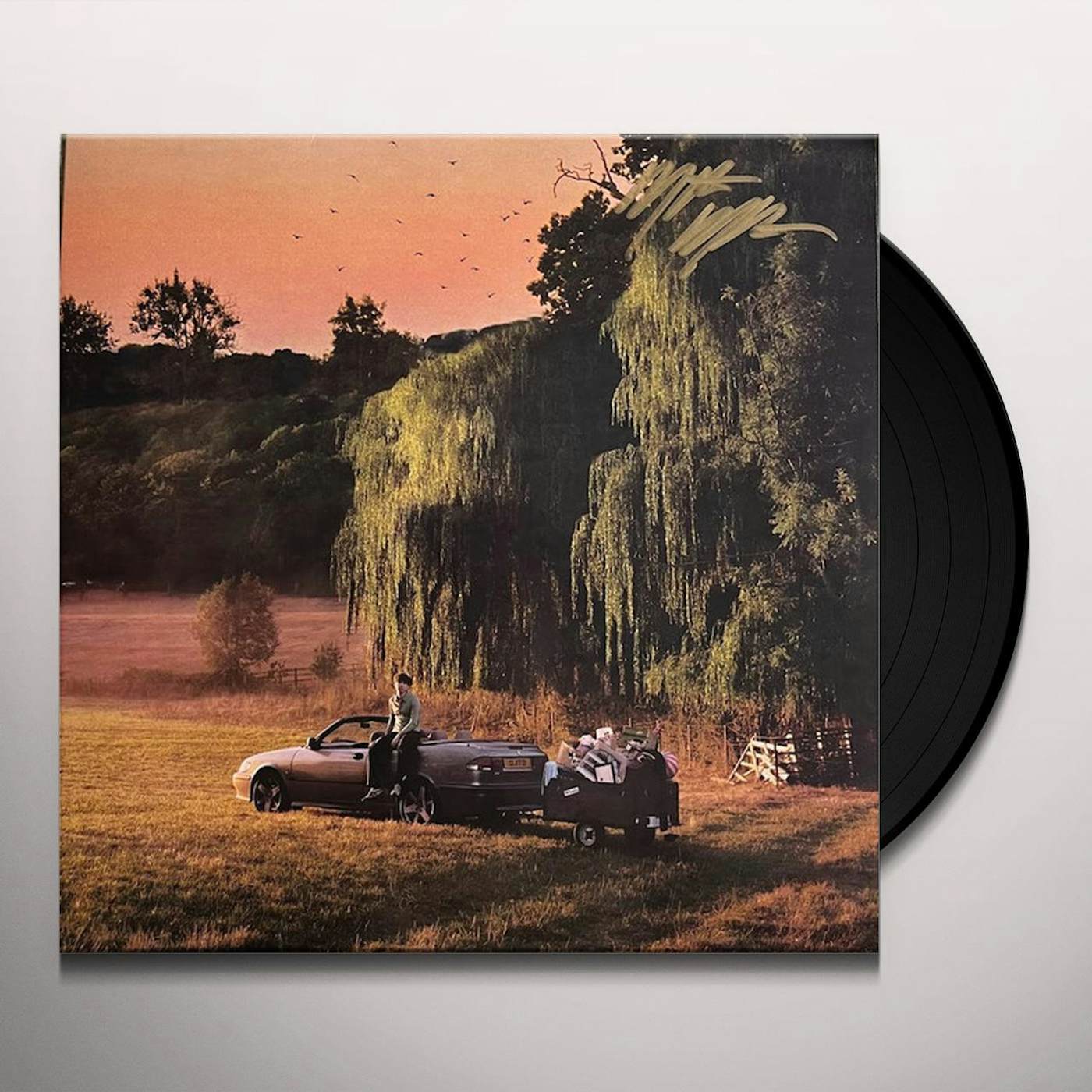 Pony By Rex Orange County 12” Vinyl Record