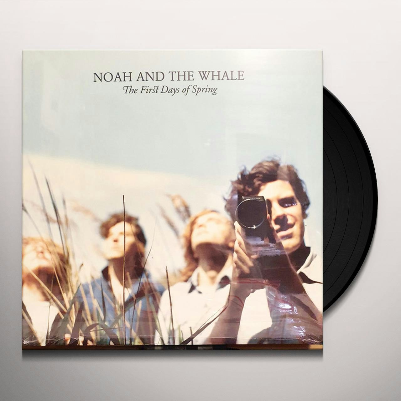 日本値下 ☆ Noah And The Whale レコード LP - レコード