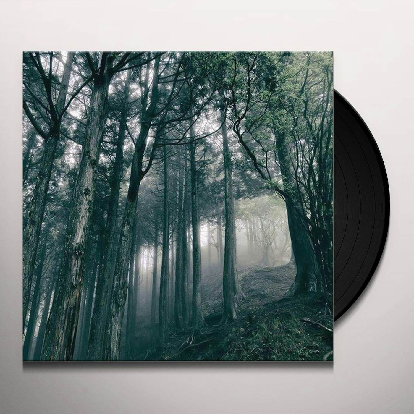 Akira Kosemura In The Dark Woods Vinyl Record