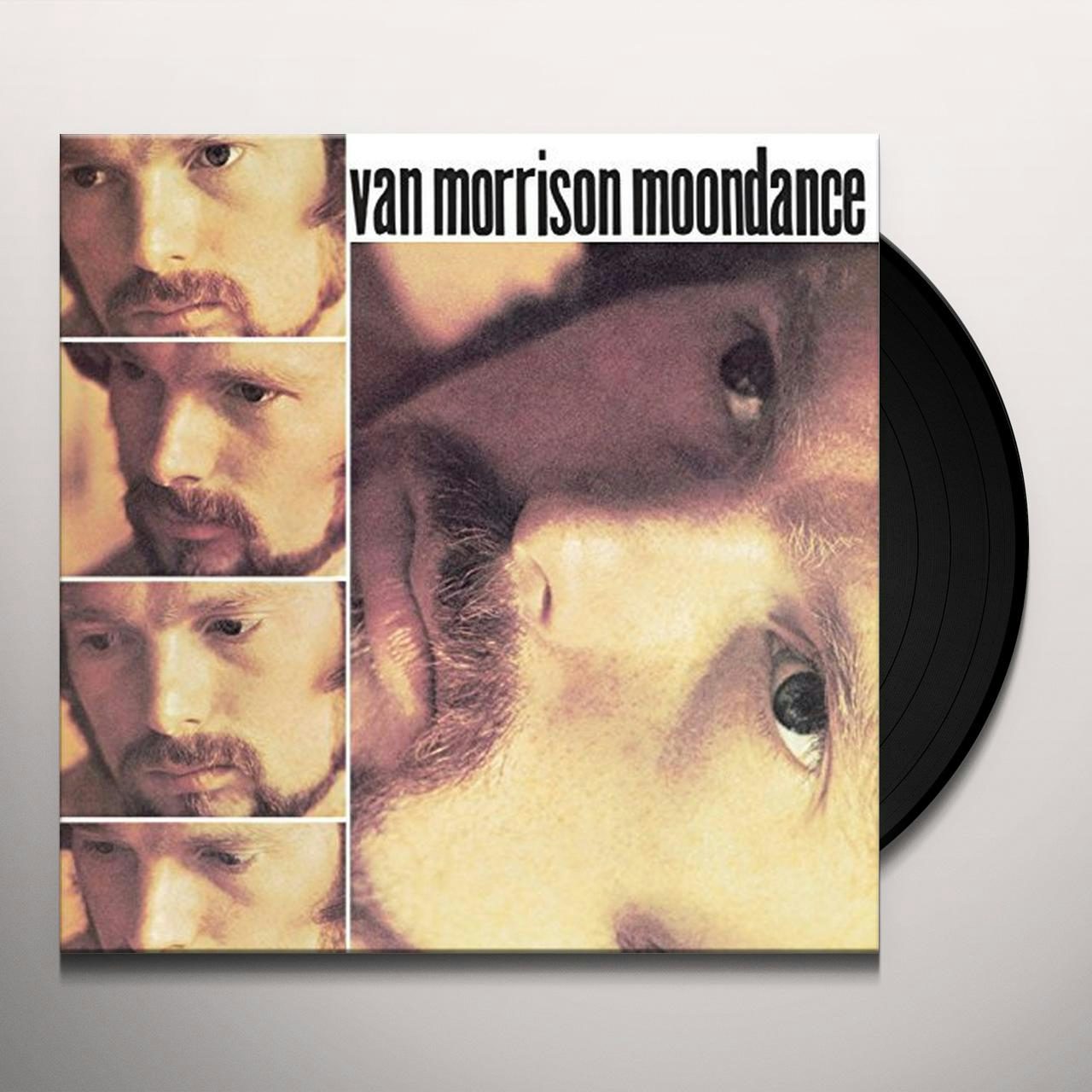 Van Morrison Moondance Vinyl Record