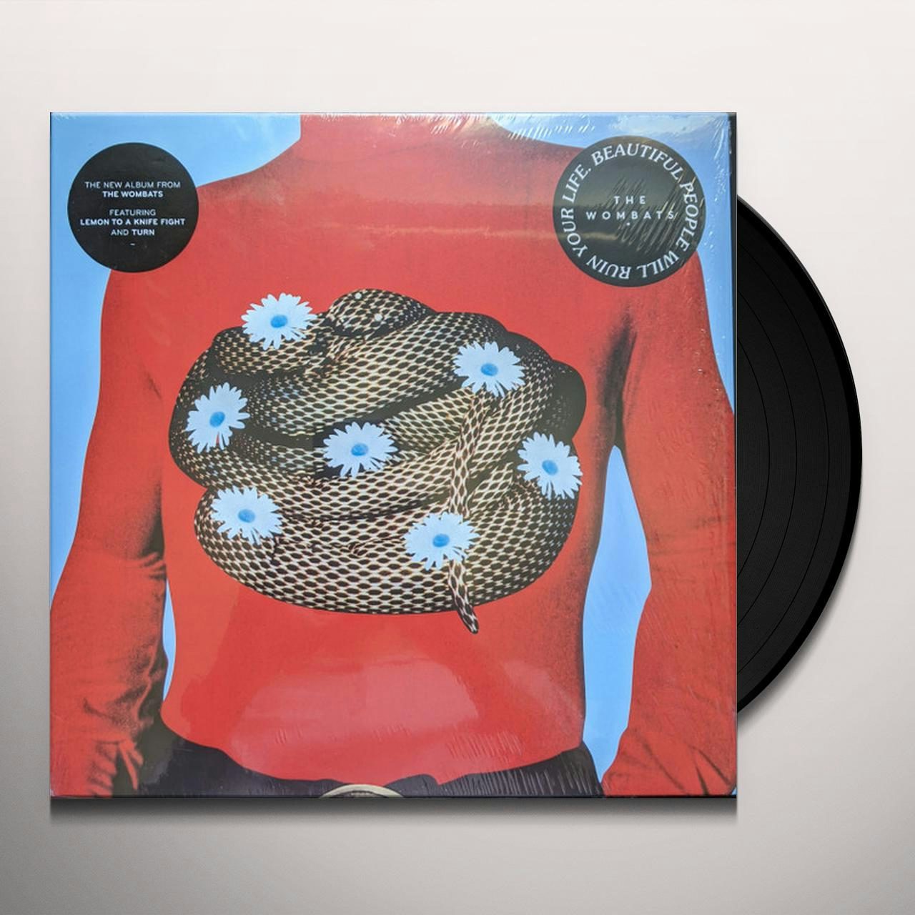 the wombats 限定10th this modern glitch LP